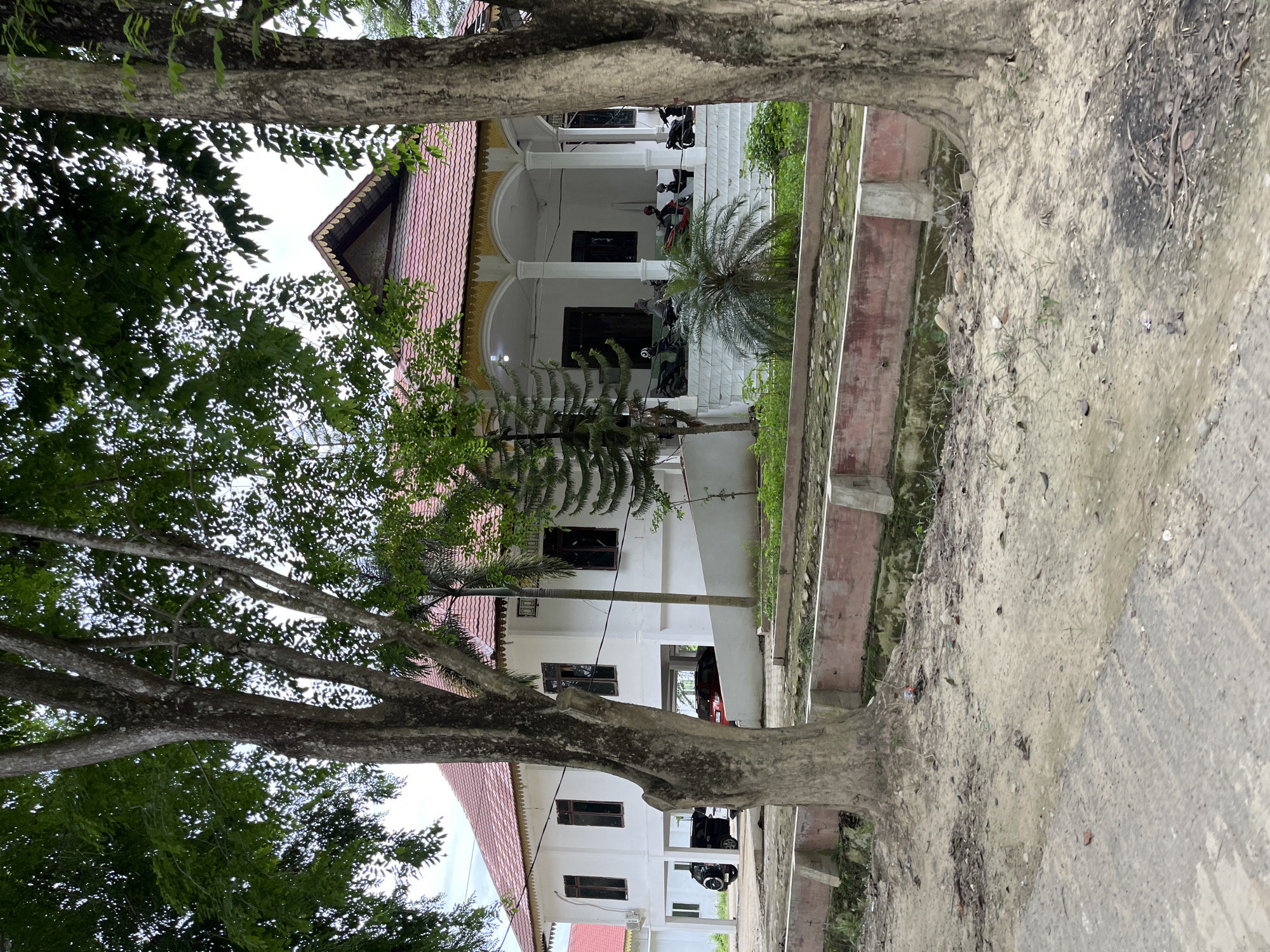 A side view of a white building with a red tiled roof and a covered porch is visible. The building appears to be on stilts. Several motorcycles are parked under the porch. A small palm tree and other greenery are located in front of the porch. The building is framed by the trunks and branches of two large trees in the foreground. The ground in front of the building is dirt and gravel, with a concrete path in the lower left corner. A low, red-bricked wall with concrete supports runs along the middle ground. The scene is likely in Bundar, Indonesia, given the architectural style and vegetation.