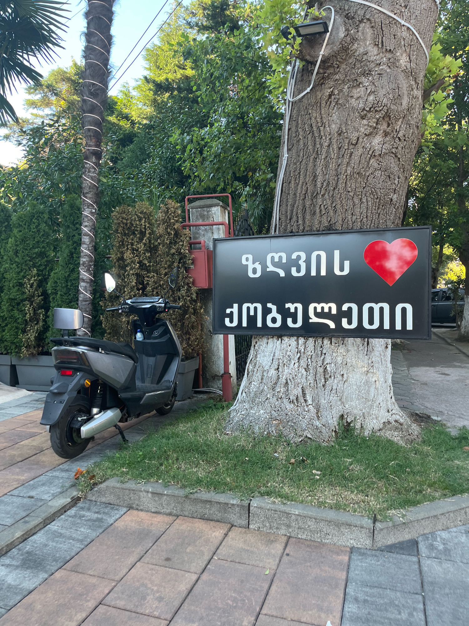 The image shows a sign with Georgian text and a red heart on a tree in Kobuleti, Georgia. The text on the sign appears to read "ქობულეთი" (Kobuleti) and below it "მიყვარხარ" (I love you). A gray electric scooter is parked on a paved walkway next to the tree. Behind the scooter are several potted evergreen shrubs. The environment is outdoors, with trees and foliage visible in the background. The lighting suggests it is daytime.