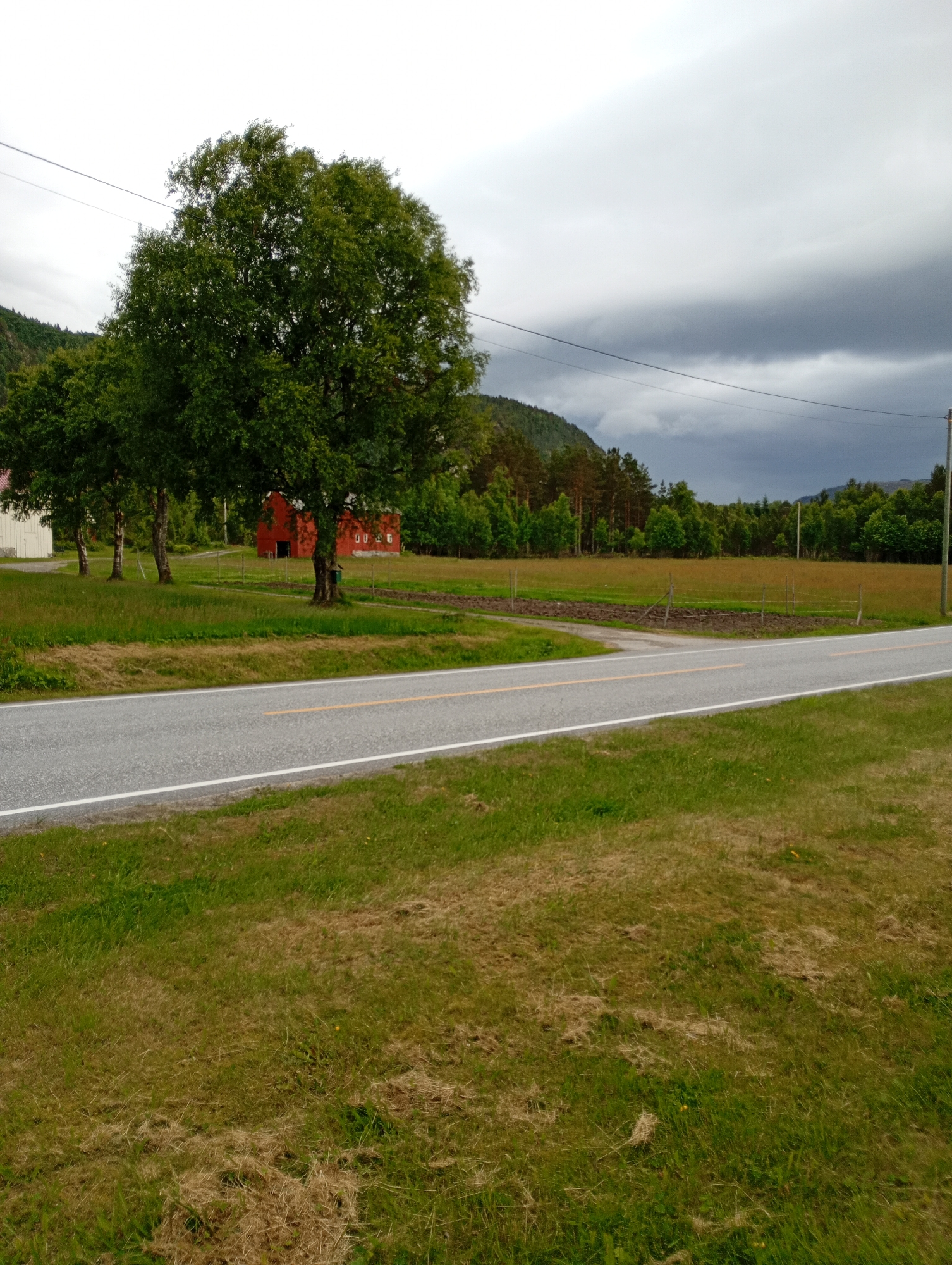 A rural landscape features a paved road with a yellow dividing line and white edge markings. To the left of the road, a large tree with green foliage dominates the foreground. Behind the tree, a red barn with white-framed windows and a white structure are visible. A field with brown tilled soil and some fencing lies behind the barn. The background consists of a dense forest, rolling hills, and a cloudy sky. The overall scene is overcast, suggesting a potentially stormy day.