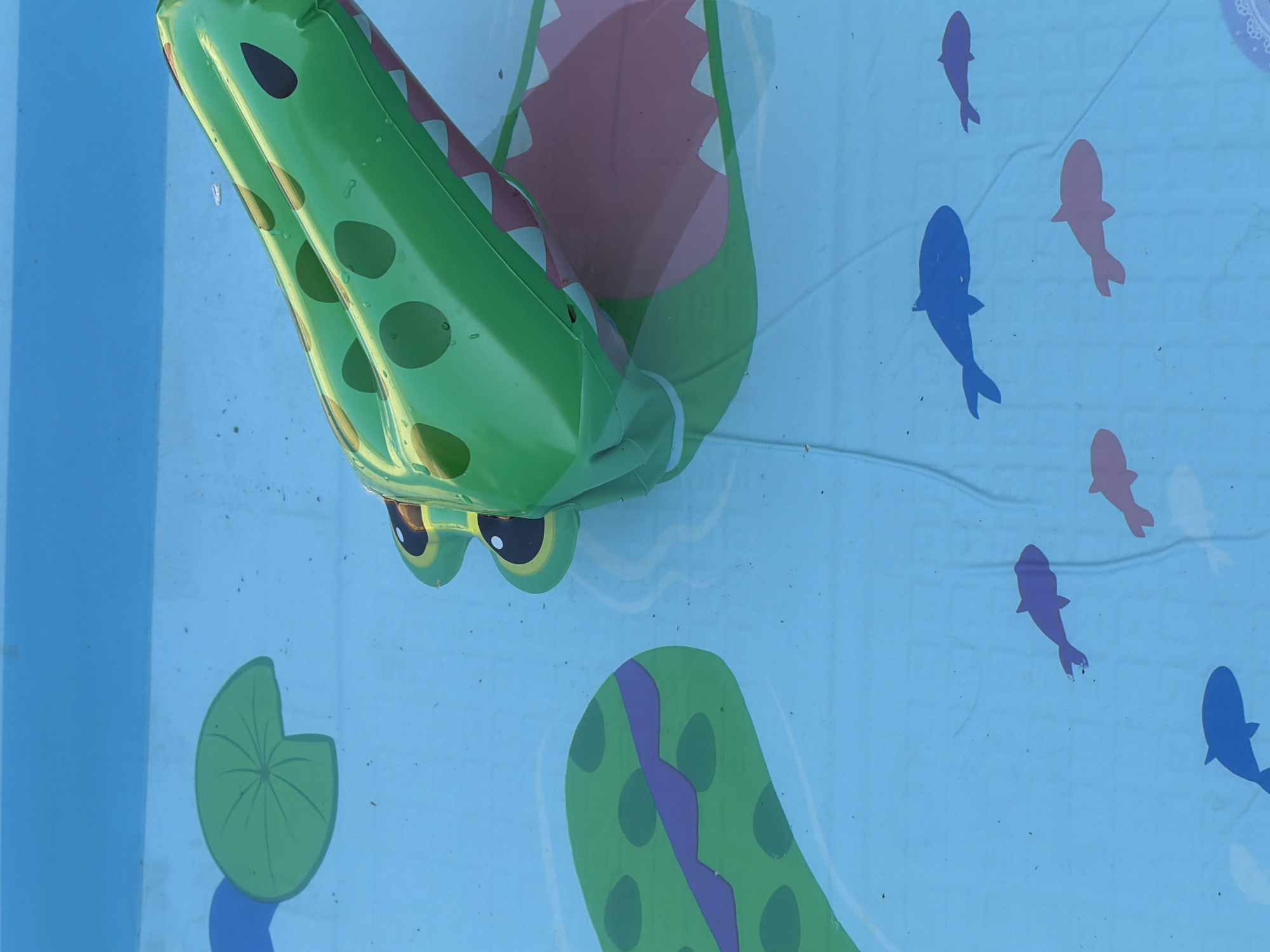 An overhead, eye-level, close-up shot shows a bright green inflatable alligator floating in a shallow, blue pool. The pool has a printed design of lily pads and fish. The alligator is partially submerged in the water, with its head and a portion of its body visible. The alligator has large, cartoonish eyes and a wide-open mouth revealing pink gums and white teeth. The pool's surface is slightly rippled, and a few small debris particles are visible floating on the water. The background is a solid blue color, likely representing the sky or another area of the pool. The scene is outdoors, under natural light. There are no people visible in the image. The image was taken in Qarağandı city administration, Kazakhstan.
