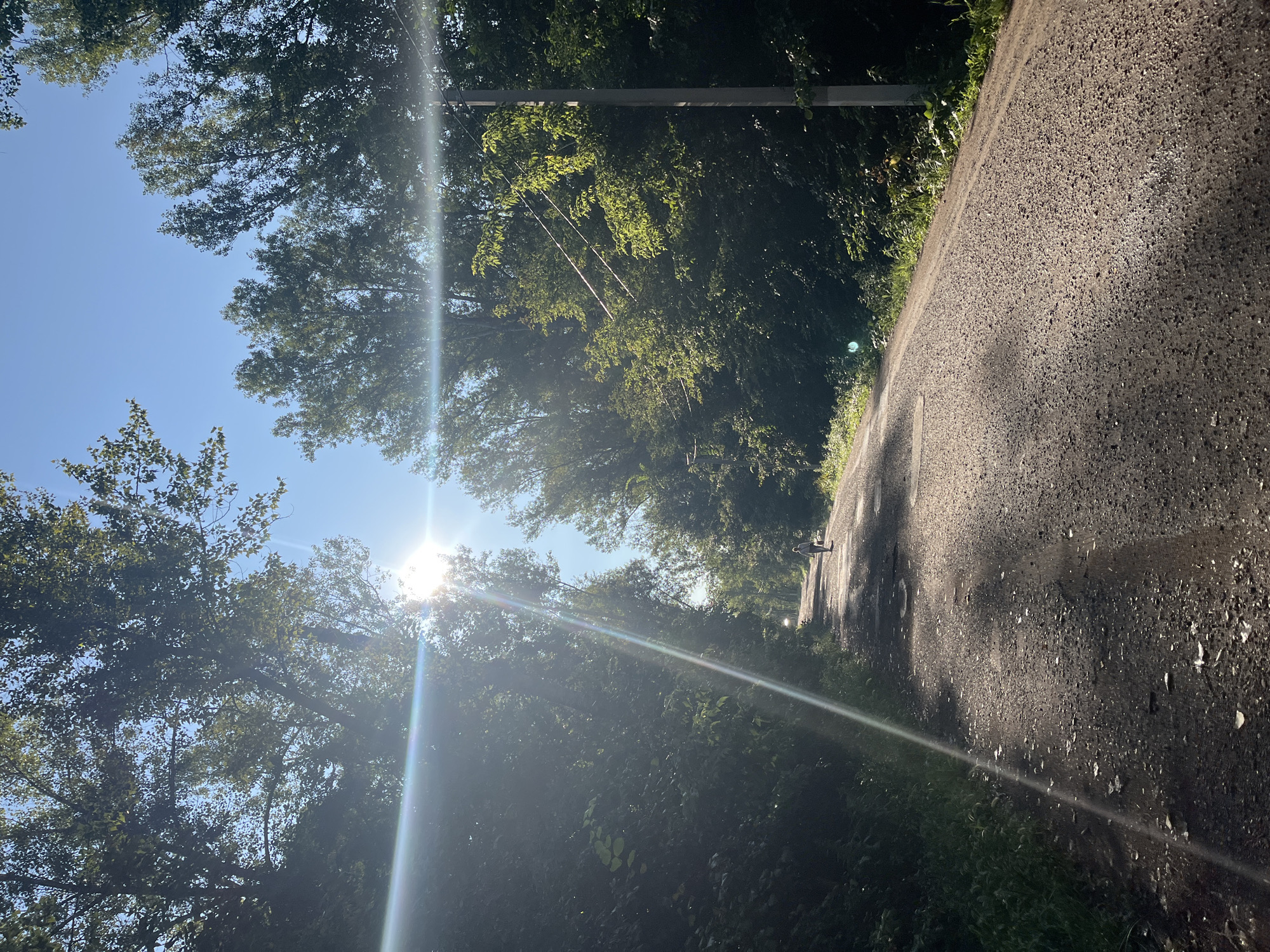 A person is walking away from the camera down a gravel road that is lined with lush green trees on either side. The sun is shining brightly, casting long shadows and creating lens flare across the scene. The road appears to be a rural or suburban path, possibly in Blagoveshchensk, Russia, given the dense foliage and the appearance of a utility pole visible on the right side of the image. The sky is clear and blue.