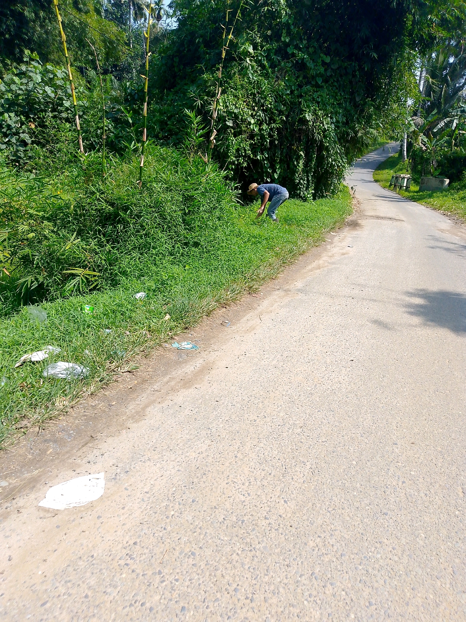 The image depicts a roadside scene in Dolok Merawan, Indonesia. A person wearing a blue t-shirt and jeans is bent over, appearing to weed or gather something from the grassy verge beside a paved road. The environment is lush with dense green foliage, including bamboo stalks, to the left of the road. The road itself is asphalt and curves into the distance. Scattered in the grass along the roadside are several pieces of litter, including plastic bags and what appears to be a mask. Sunlight casts shadows on the road, indicating it is daytime.