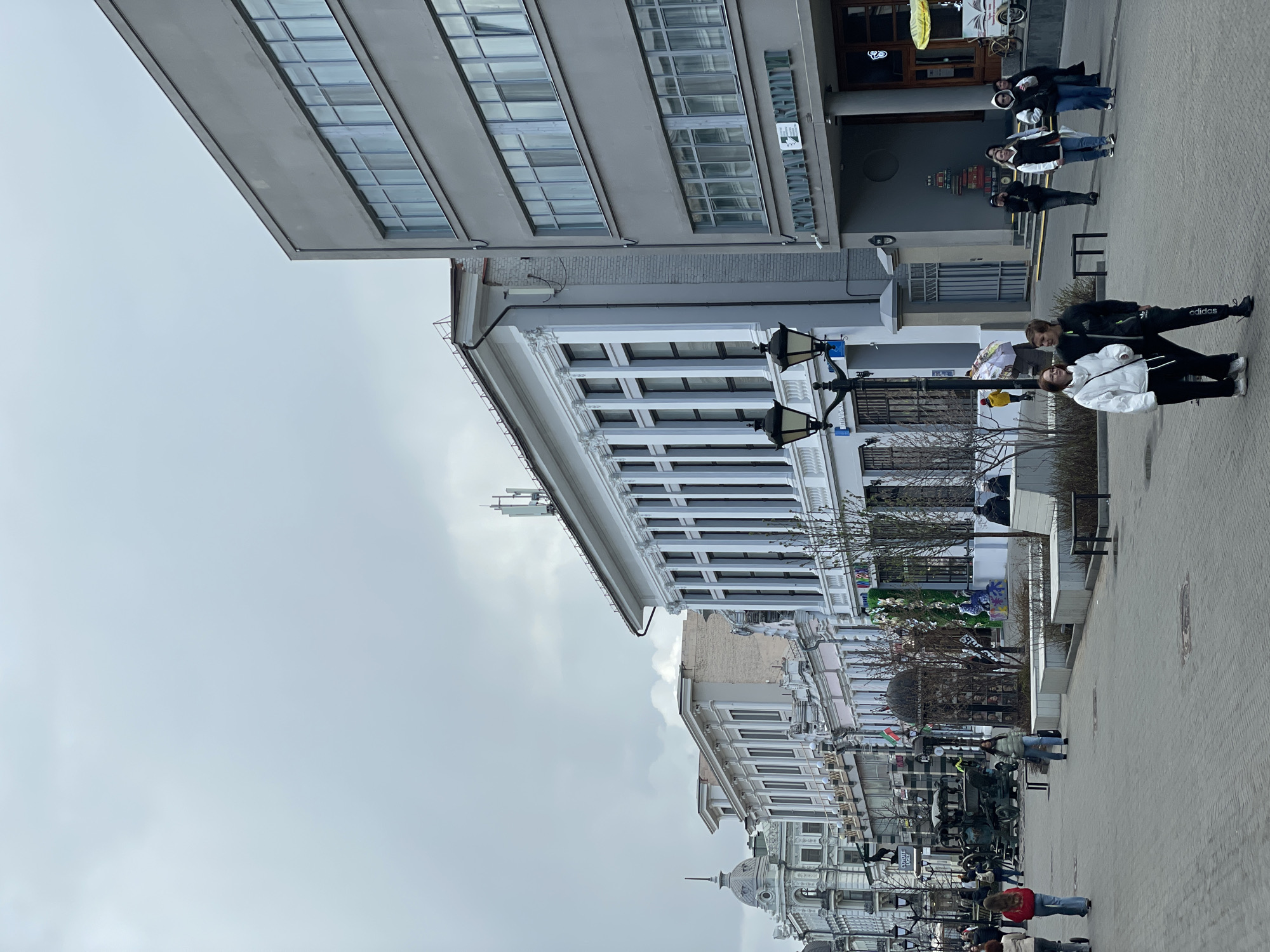 This image captures a pedestrian street scene in Kazan, Russia, under a uniformly overcast, grey sky. The street is flanked by buildings exhibiting a blend of architectural styles, from modern to classical.
On the left, a multi-story, grey modern building with numerous rectangular windows forms the upper part of the frame. Directly below it, a more classical-style building features white decorative pilasters and cornices, identified by Cyrillic text as the "Национальная библиотека Республики Татарстан" (National Library of the Republic of Tatarstan). A green sign with a book logo and a large, stacked-book-shaped display near an entrance further indicate the library.
Further down the street, on the right, other buildings display varied, more traditional facades, including one with a small dome. The paved pedestrian walkway is equipped with ornate black streetlights and benches. Various street decorations include a green art installation resembling birds or leaves, and a large, dark, spherical monument. Nearby, flags are visible, including the green, white, and red flag of Tatarstan.
Several individuals and small groups are seen casually walking along the street, dressed in jackets and casual attire, suggesting cool weather. In the foreground, a man wearing "adidas" branded pants and a woman in a white jacket are walking. Other people are dispersed along the path, going about their day.
The scene takes place during daylight hours, characterized by soft, diffuse lighting due to the cloudy conditions. The overall atmosphere is calm. Additional visible text includes "ЧЕРНОЕ БЕЛОЕ" (Black White) on a sign in the mid-ground.