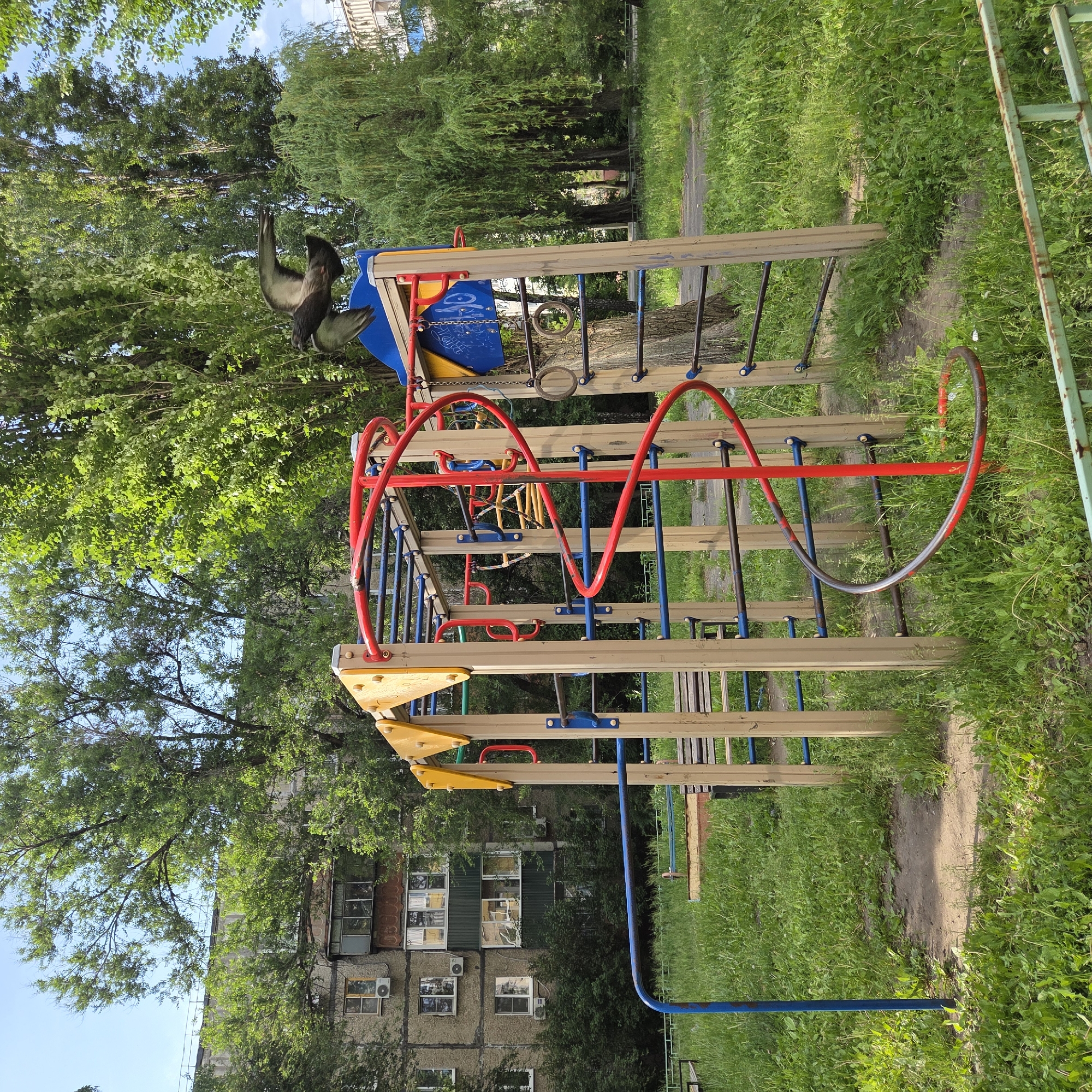 The image displays an outdoor playground scene under bright, clear daylight. A central climbing frame, constructed from wooden-colored horizontal beams, blue vertical supports, and distinctive red wavy monkey bars, dominates the midground. Yellow triangular platforms and several hanging rings are also part of the structure. A dark bird, possibly a crow or raven, is perched on or near the top left section of the climbing frame.
The playground is situated within a verdant environment, surrounded by numerous green deciduous trees, including some with drooping branches characteristic of willows. These trees form a dense canopy and background, with patches of blue sky visible through the leaves. The ground is covered with green grass and some visible dirt paths. In the background, a multi-story residential building with multiple windows and air conditioning units is partially visible through the trees, suggesting an urban or suburban setting.
The playground equipment shows signs of wear, with some faded paint and minor rust on metal parts. Faint, light-colored markings, possibly graffiti or drawings including what appears to be a Cyrillic "У", are visible on a blue panel of the playground structure. No people are present in the scene, which conveys a calm atmosphere.
