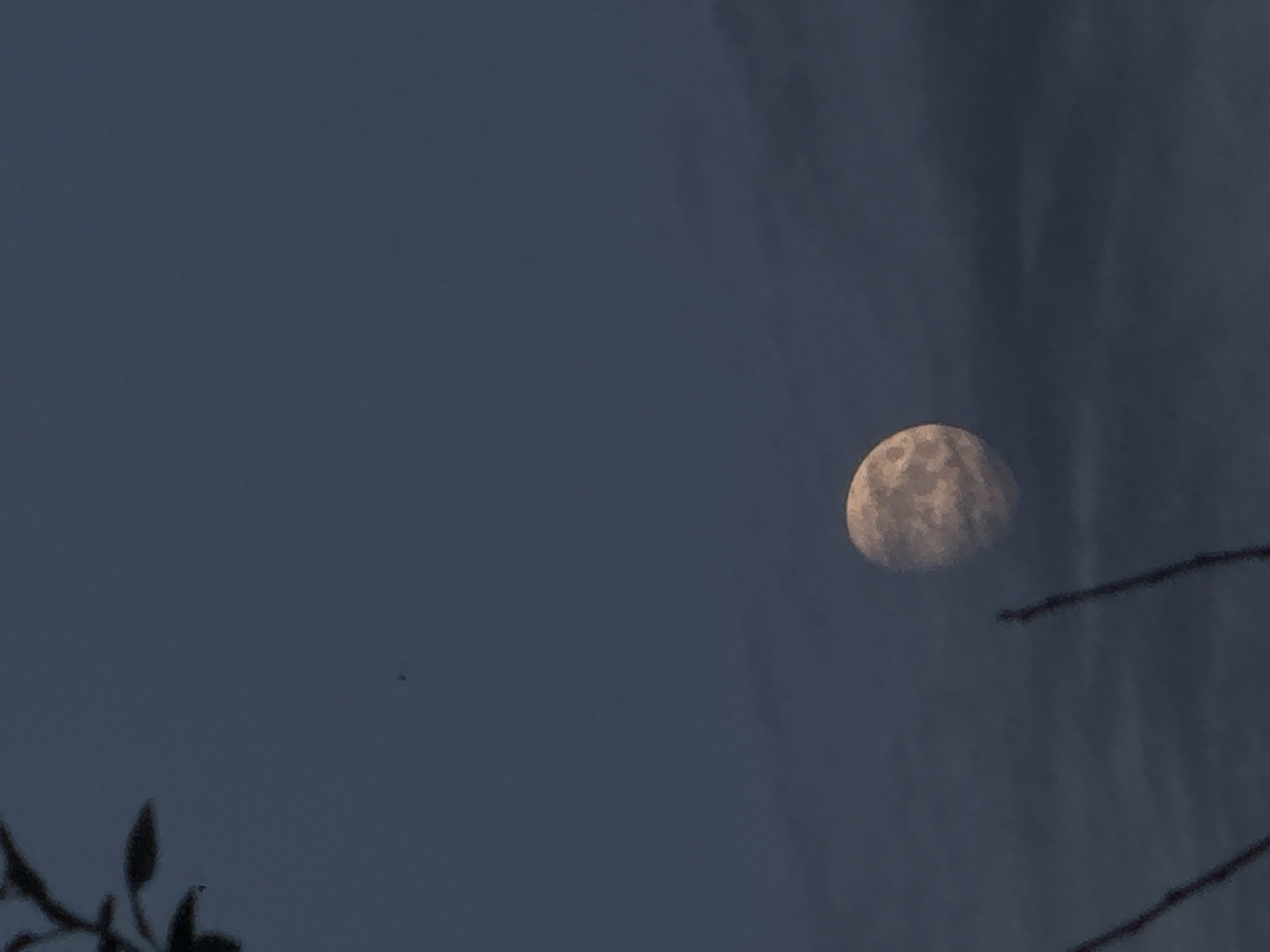 An outdoor, low-light vertical photograph captures a partial moon against a dark, overcast sky. The moon, appearing as a waning gibbous, is positioned in the lower third of the frame, exhibiting visible craters and surface textures. In the upper left quadrant, silhouetted branches and leaves of a tree are visible, partially obscuring the sky. The bottom of the frame is bordered by two thin, dark, out-of-focus branches. The scene is devoid of any human presence or activity. The overall impression is one of a quiet, natural setting at dusk or dawn. The image is not specific to Chaikovsky, Russia, as there are no identifiable landmarks or contextual elements to indicate a particular location within the city.