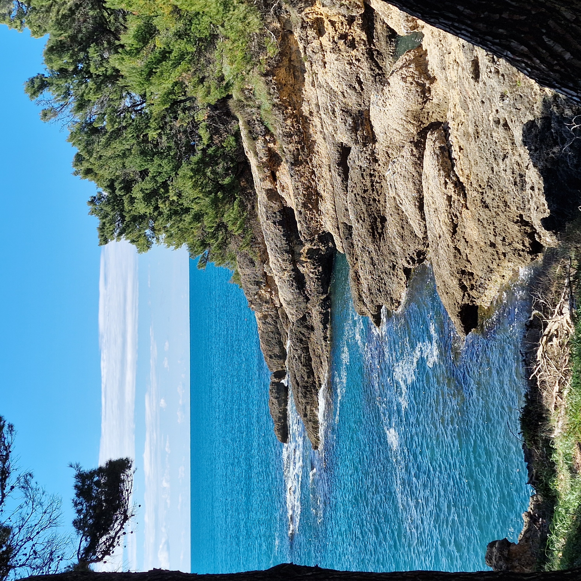 The image shows a rocky coastal landscape in Ulcinj-Ulqin, Montenegro. The Adriatic Sea is a vibrant blue, contrasting with the rugged, golden-brown cliffs. The cliff face is textured with erosion, with some vegetation clinging to the top. A dense cluster of green trees grows atop the cliff. To the left of the sea is a clear blue sky with a few vertical clouds. The photo is taken from a position partially obscured by a tree trunk and some green grass.