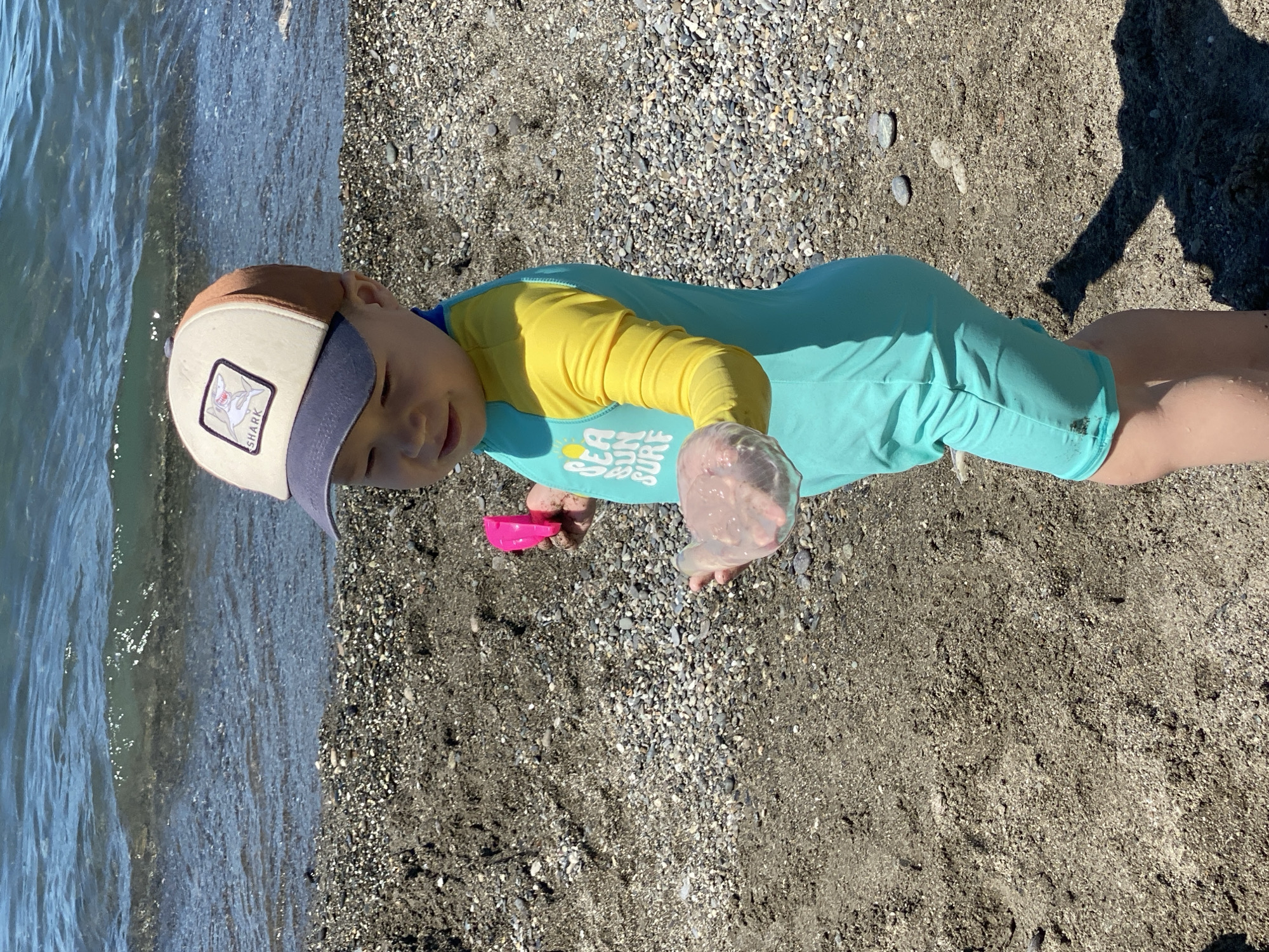 A young child, approximately two to three years old, stands on a pebble beach in Sochi, Russia, facing slightly to the left with their gaze directed downward. The child is dressed in a two-toned long-sleeved swimsuit: the torso and shorts are turquoise, while the sleeves are yellow. The turquoise chest prominently displays the white text "SEA SUN SURF" alongside a sun graphic. A beige baseball cap with a navy blue brim and brown side panels covers the child's head. The front of the cap features a rectangular patch depicting a white and red cartoon shark, with the word "SHARK" printed beneath it.
In the child's right hand, a bright pink plastic toy object, possibly a small spade or scoop, is held. The left hand cradles a translucent, pale pink, gelatinous object, resembling a small jellyfish or similar marine organism. The child's lower legs and feet are visible and appear wet.
The immediate ground consists of dark, wet sand intermingled with varying sizes of gray, white, and brown pebbles. Footprints and disturbed areas of sand are evident. In the background, the calm, blue-green waters of the Black Sea stretch out under a clear sky, with small waves gently lapping at the shore, creating a thin line of white foam. Bright sunlight illuminates the scene, casting a distinct shadow of the child on the sand to the right.