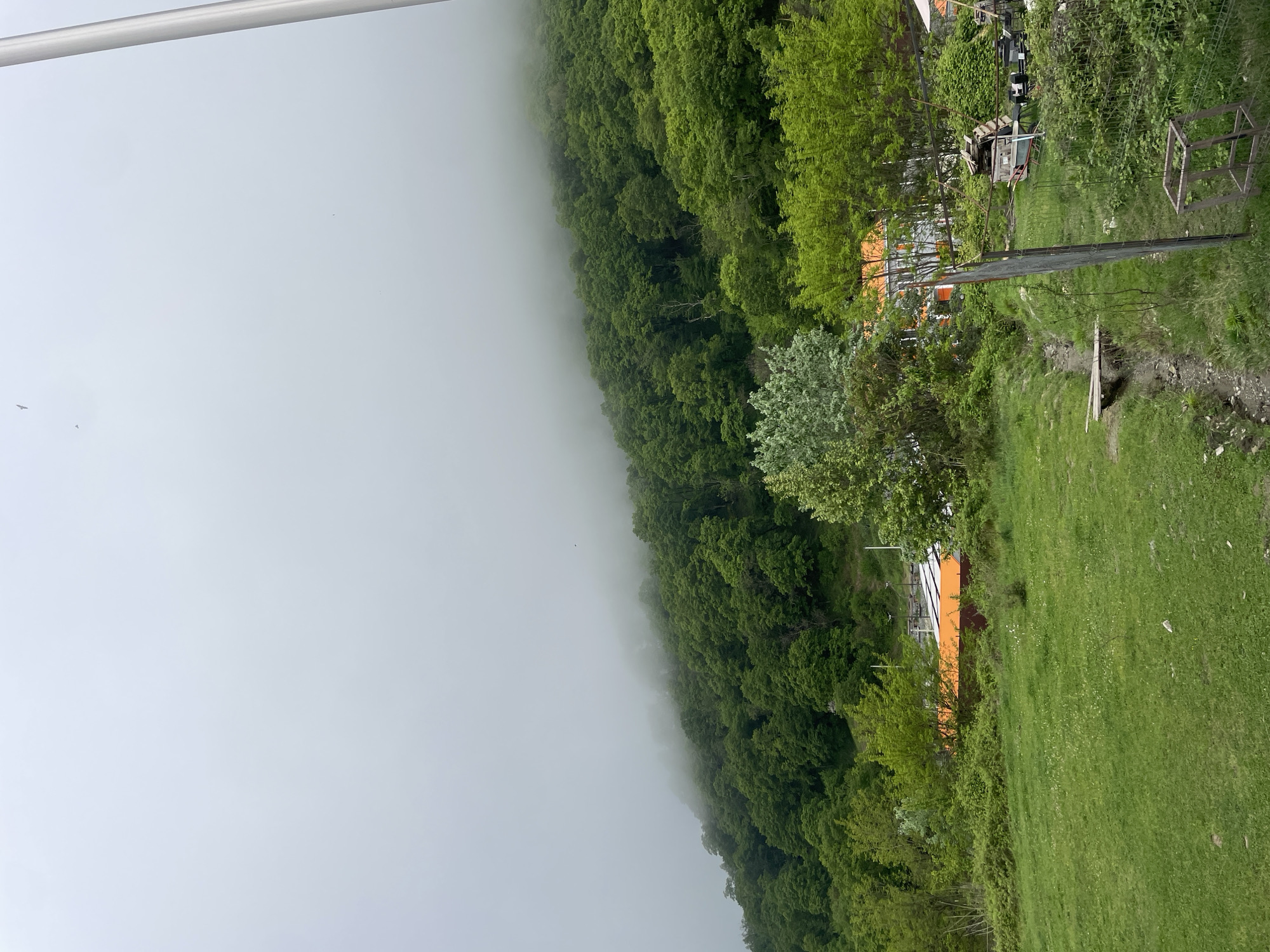 The image shows a landscape with dense green trees on a hillside that is partially obscured by fog on the left side. On the right side of the image, there is a grassy field and structures with orange roofs. A power line runs through the scene. It is daytime. The image appears to be taken from an elevated position.