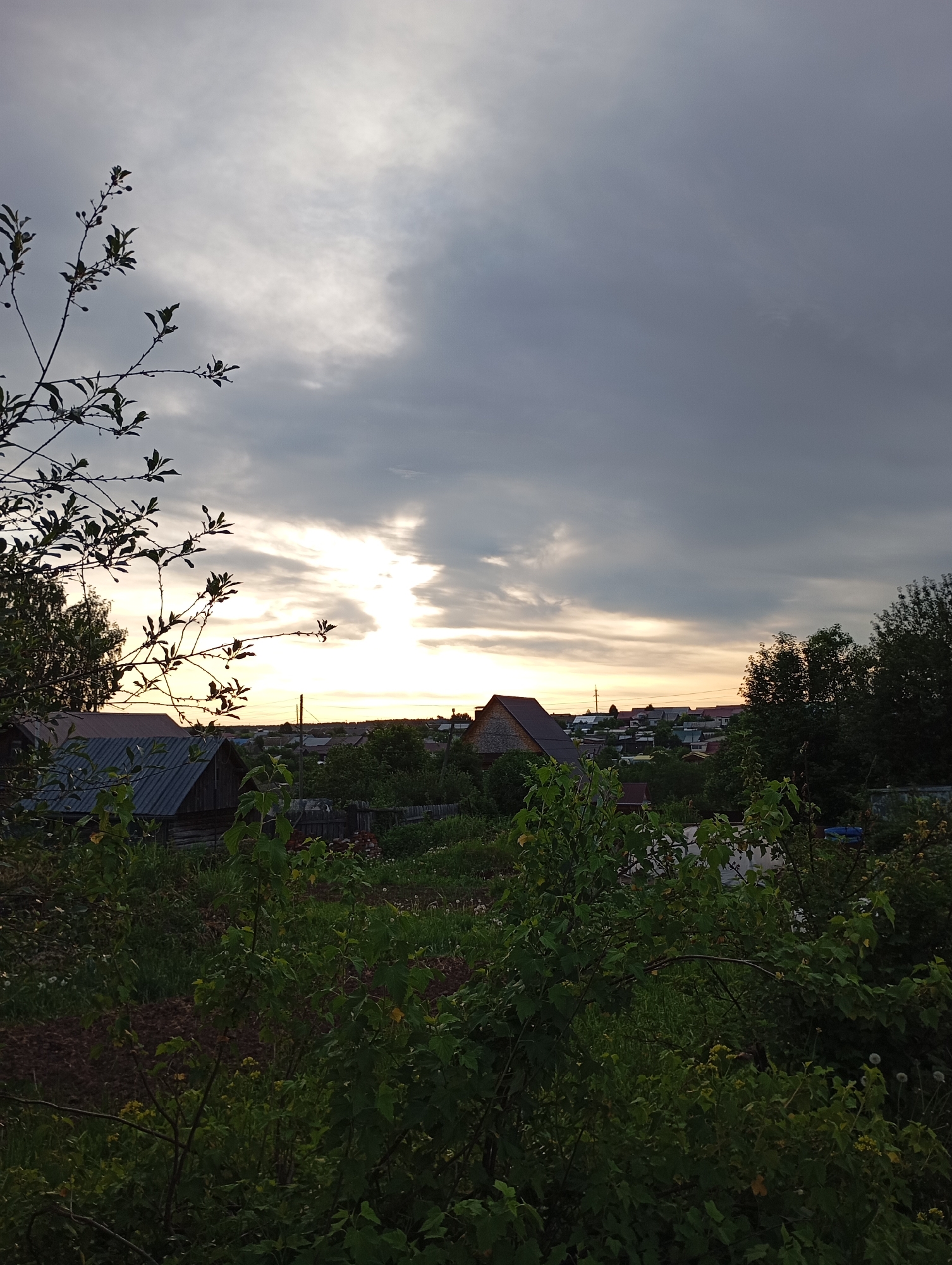 The image captures a rural scene in Фоки, Russia at dusk or dawn. In the foreground, dense green foliage obscures some of the view. Beyond the foliage, there are several small buildings or houses, their rooftops visible amidst the greenery. The sky is overcast with grey clouds, but a bright, diffused light breaks through near the horizon, suggesting either sunrise or sunset. A silhouetted tree branch extends from the left edge of the frame, adding depth to the composition. The overall impression is one of a quiet, natural setting within the confines of a Russian village.