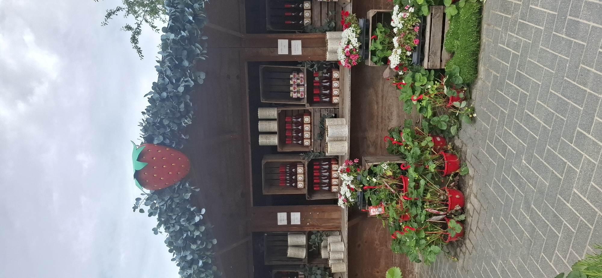 The image shows an outdoor stall with a large strawberry decoration on top, situated in Hürth, Germany. The stall is constructed of wood and displays various products in wooden crates. These products appear to be bottles of a red liquid, possibly jam or preserves, and some cylindrical items. In front of the stall, several potted strawberry plants with red flowers are arranged on a cobblestone pathway. The sky is overcast. There are no people visible in the image. The stall is decorated with green foliage along the roofline.