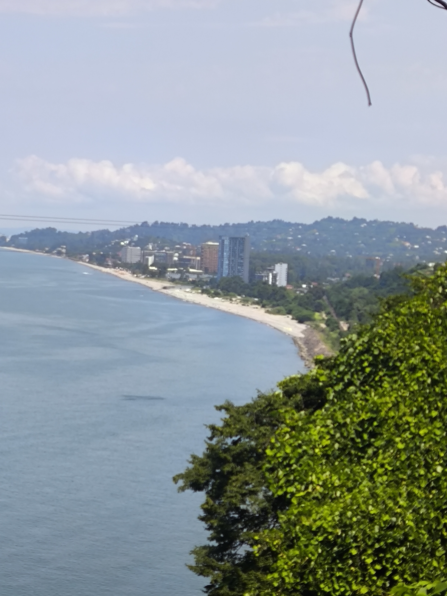 An aerial, high-angle shot captures the coastline of Batumi, Georgia, with the Black Sea dominating the left side of the frame. Buildings, ranging from multi-story hotels to smaller structures, are nestled along the shore and extend up a lush, green hillside. A wide, sandy beach is visible along the coastline, populated with scattered beachgoers. Dense foliage, primarily trees and bushes, occupies the foreground on the right, partially obscuring the view. The sky is a pale blue, dotted with soft, white clouds. Overhead, a thin wire or branch hangs from the top edge of the frame.