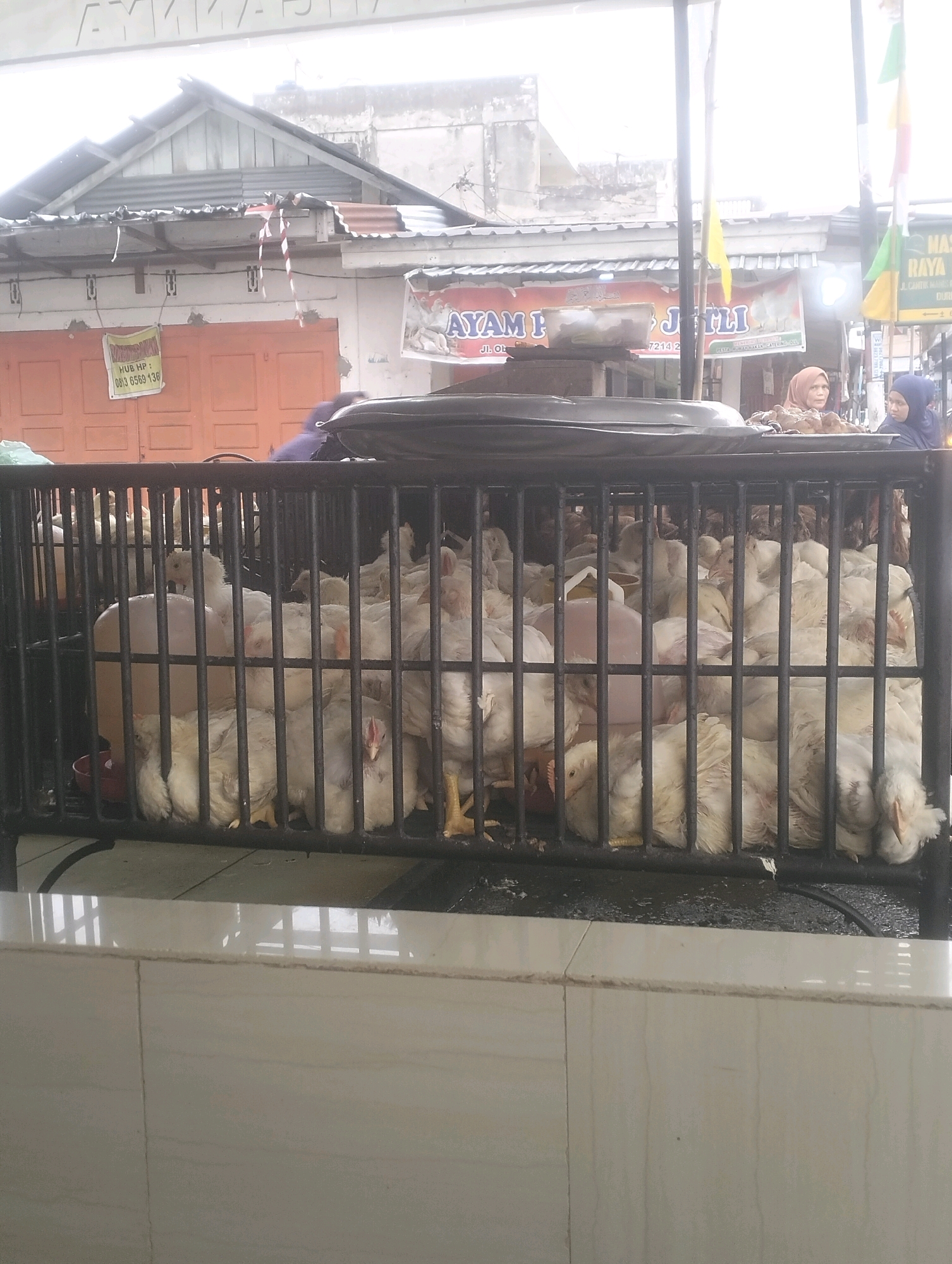 A medium shot captures a cage filled with live chickens, seemingly at an outdoor market. The cage is constructed of black metal bars, through which dozens of white chickens are visible, some standing, others huddled together. A large, opaque plastic water dispenser is positioned inside the cage on the left. Beyond the cage, a building with an orange door is visible, with what appears to be a sign that reads "AYAM PASAR JAYA." Two women, one wearing a pink hijab and the other a blue hijab, are partially visible in the background, standing near a table laden with food. The overall impression is a commercial setting, possibly a food market, in Balik Alam, Indonesia. The lighting suggests it's daytime, with bright overhead light contributing to a slightly washed-out appearance of the scene. The ground in front of the cage is tiled with off-white squares.