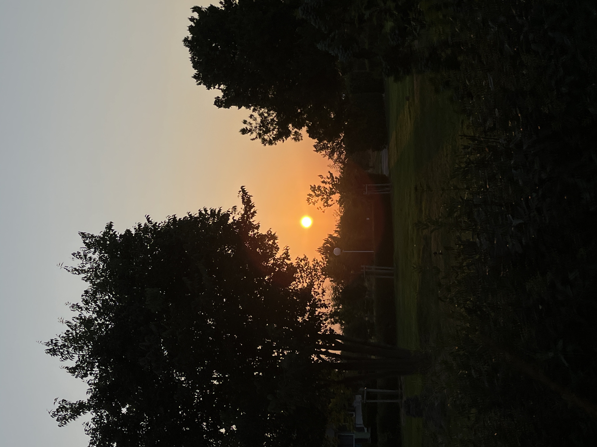 The image captures a serene sunset in the city of Nesebar, Bulgaria. The sky displays a gradient of soft orange and pale blue hues, indicating the sun is low on the horizon. In the foreground, dark silhouettes of trees dominate the frame, their leaves detailed against the bright sky. The middle ground features a grassy park area with several lampposts and young trees planted in neat rows. In the background, the silhouettes of buildings are visible to the left, suggesting a residential or urban area bordering the park. The overall scene is tranquil, characterized by the natural beauty of the sunset and the organized landscape of the park.