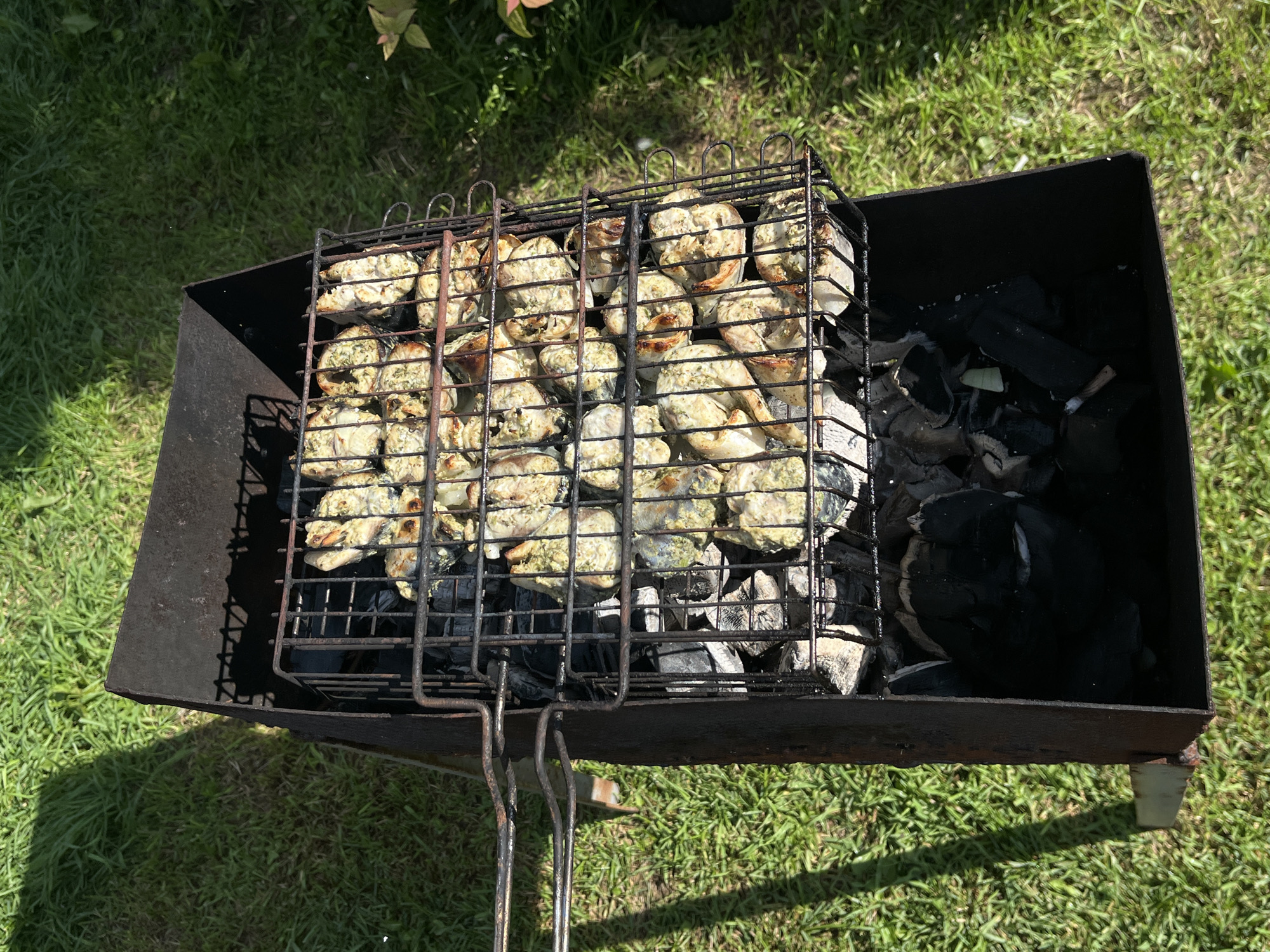An overhead, high-angle shot captures a metal grill box filled with charcoal, outdoors on a grassy area. Positioned over the charcoal is a metal grill basket containing numerous pieces of seasoned food, likely chicken or fish, arranged in rows and cooked to a golden brown. The grill basket has two handles extending to the left, one of which is visible in full. The surroundings are dominated by green grass, with dappled sunlight casting shadows from an unseen object on the left. The scene is devoid of people and takes place on a bright, sunny day. There is no indication that this scene is located in the city of Chaikovsky, Russia.