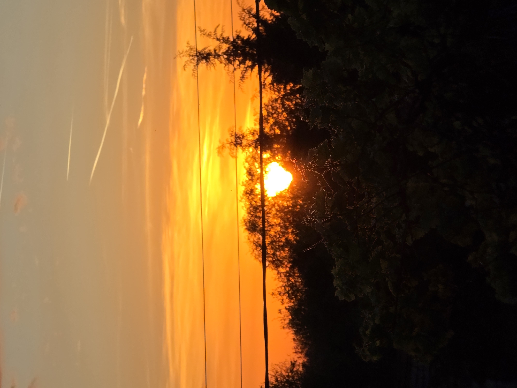 The image depicts a sunset scene, likely taken in Yagodovo, Bulgaria, due to the prompt. The sky is dominated by orange hues. Silhouetted trees and power lines run vertically through the frame. Contrails are visible in the lighter portion of the sky to the left. The sun appears to be partially obscured by the trees. The right side of the image is dark, featuring more trees and suggesting the time is either sunset or sunrise. There are no people visible in the image.