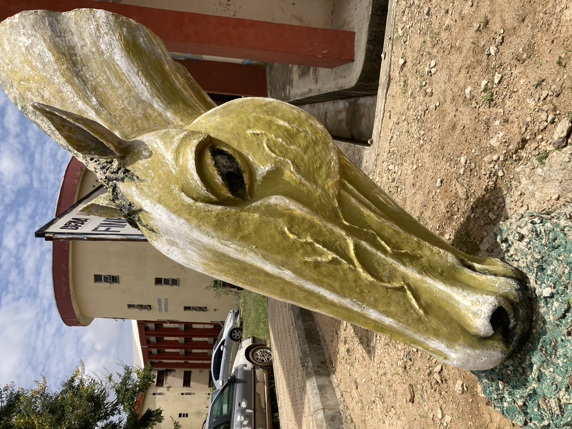 The image shows a close-up of a weathered, yellow and white painted statue of a horse's head. The statue is positioned outdoors, with a building in the background. The building is a multi-story structure with a curved section and a reddish-brown trim. It appears to be made of concrete and has several windows. To the left of the building, a tree with yellow flowers is visible. In front of the building, a paved walkway and a patch of grass can be seen, with two cars parked on the grass. The ground around the statue is a mixture of soil, gravel, and small rocks. A partial sign with the word "FINA" is visible near the top right of the frame. This scene is located at the Federal College of Animal Health and Production (FCAHP) in Jos, Nigeria.