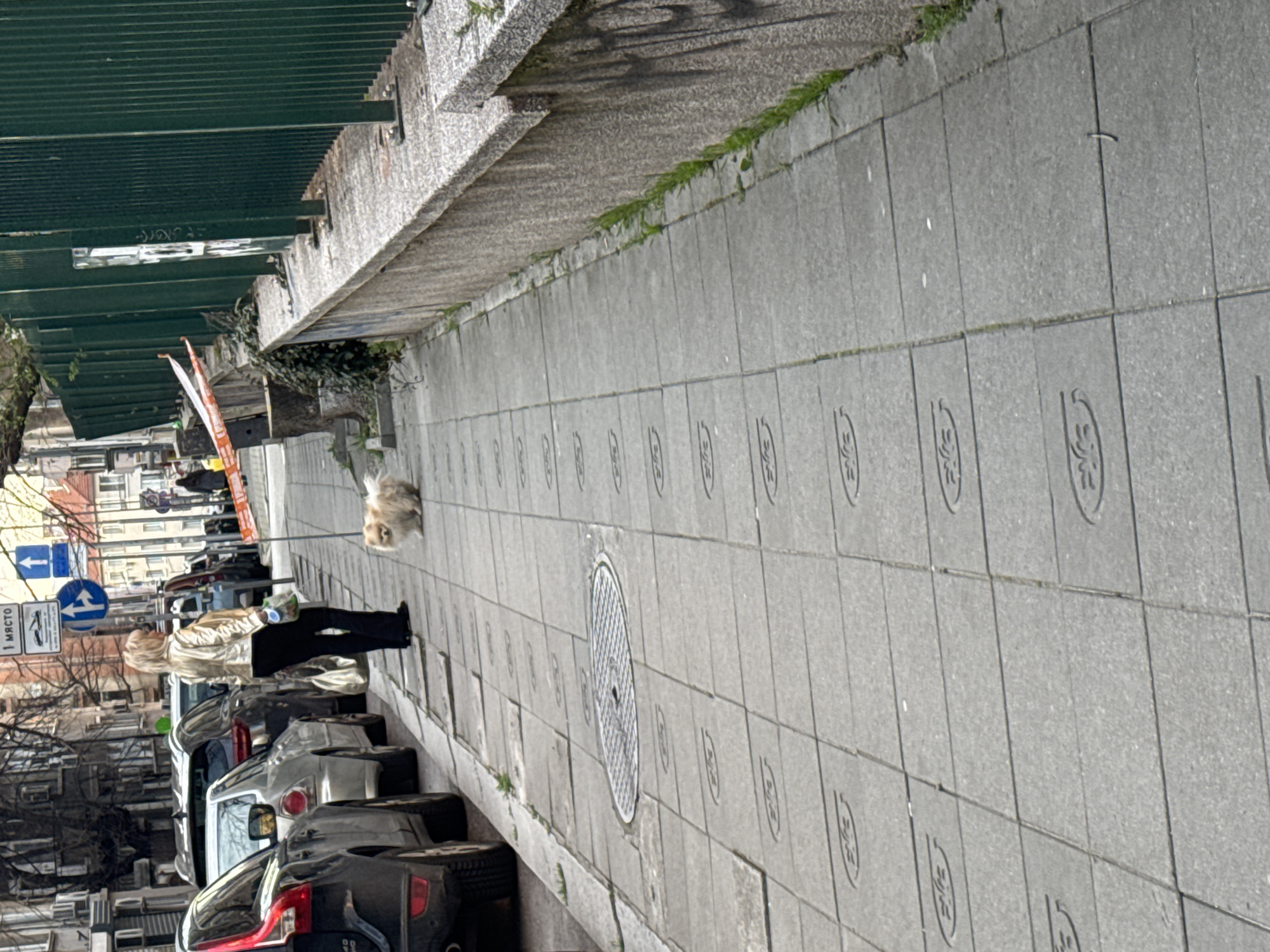 The image depicts a woman walking a small, fluffy dog on a leash along a pedestrian sidewalk in Sofia, Bulgaria. The sidewalk is paved with gray stone tiles, each featuring an embossed circular design. A metal manhole cover is embedded in the sidewalk. A concrete retaining wall overgrown with some vegetation runs alongside the sidewalk. Parked cars line the curb to the left of the pedestrian walkway. The woman is dressed in a light-colored jacket and dark pants, and she carries a plastic bag. Street signs and buildings are visible in the background, indicating an urban environment.