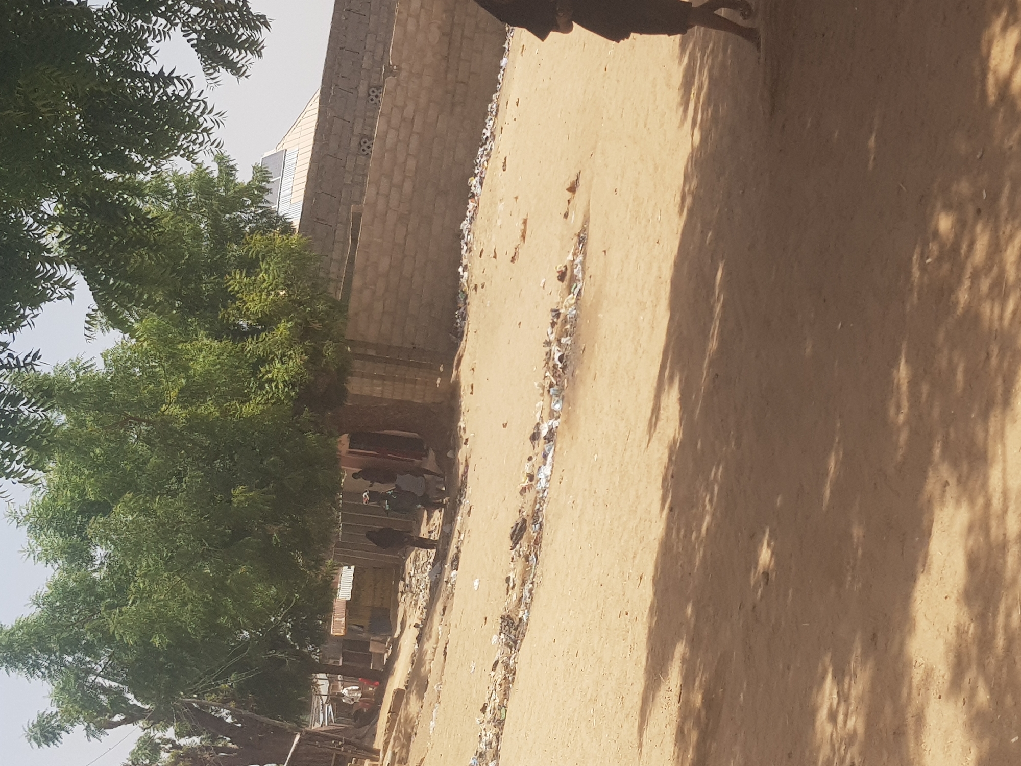 The scene depicts a street in Dutsinma B, Nigeria. The street is unpaved and has litter along the sides. A brick wall stands on one side of the street. A large tree stands on the other side, partially obscuring buildings and people. Several people are walking on the street. The scene is bathed in sunlight, casting shadows on the ground. A partial view of a building with a solar panel is visible behind the tree. A person's legs are partially visible in the top-right corner.