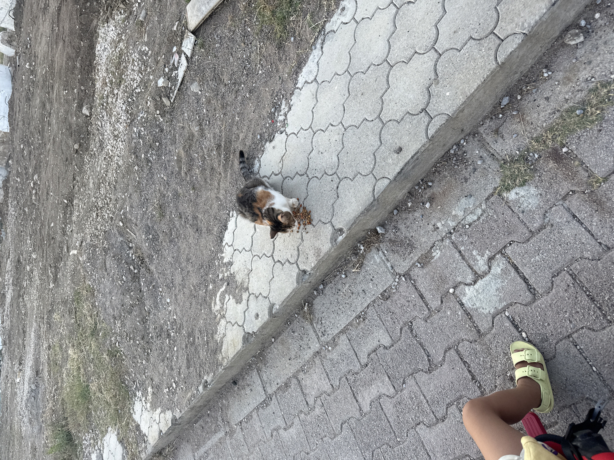 A tricolor cat is eating kibble from a pile on a decorative concrete pathway. To the left, a child's leg wearing a yellow sandal is visible, suggesting the child is sitting or positioned on a ride-on toy. The pathway is bordered by a concrete curb, with a dirt and gravel area beyond it. The environment appears to be an outdoor urban setting, possibly a park or public space, with evidence of construction or disused land in the background. The scene is set in Bečići, Montenegro.