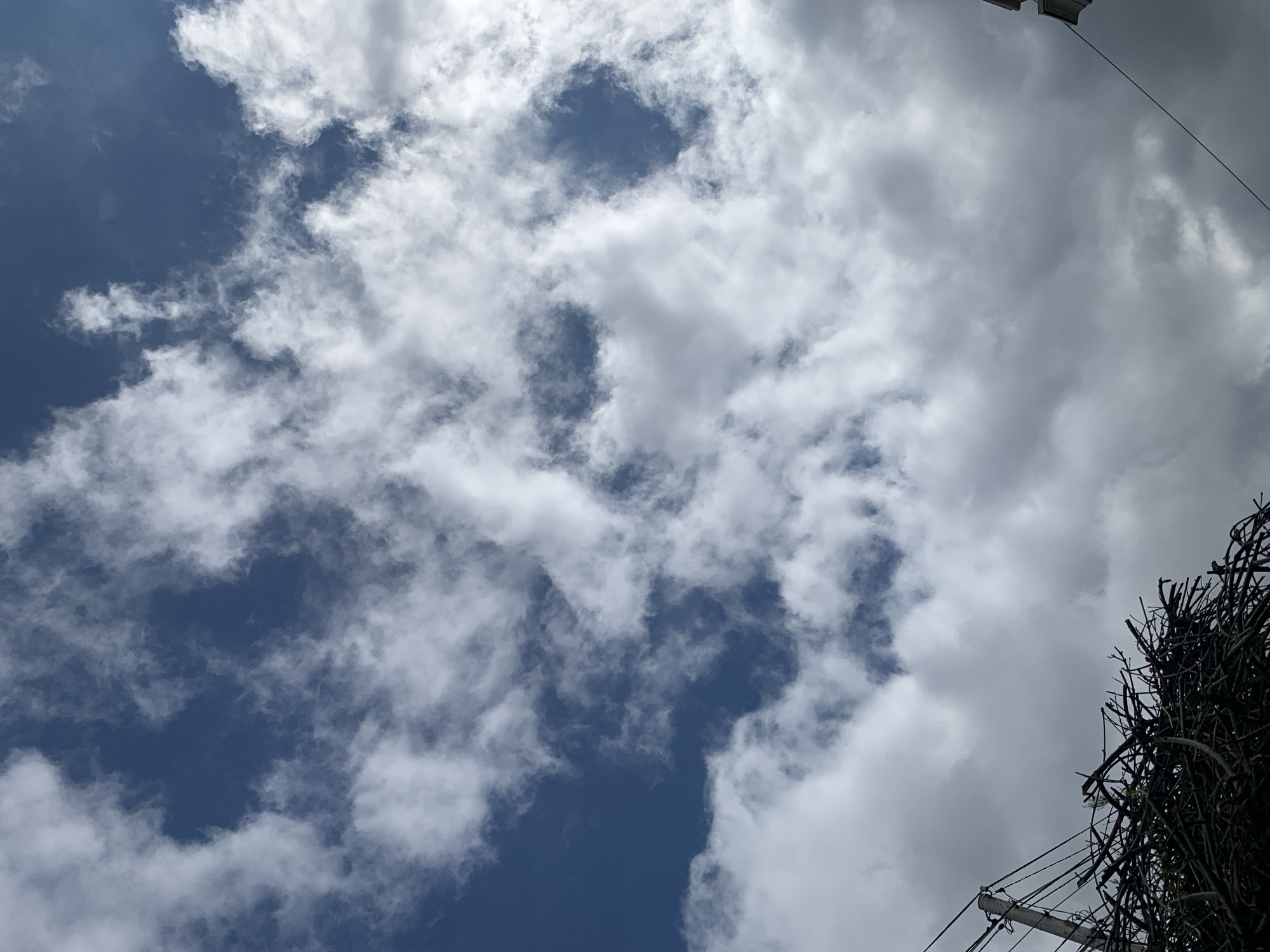 The image is an upward shot of the sky with white clouds and patches of blue sky visible. In the bottom right corner of the frame, there are branches of a tree or bush, appearing dark against the sky. Utility poles and wires are also visible near the bottom right corner. The picture was taken in a location within the city of Stavropol, Russia.