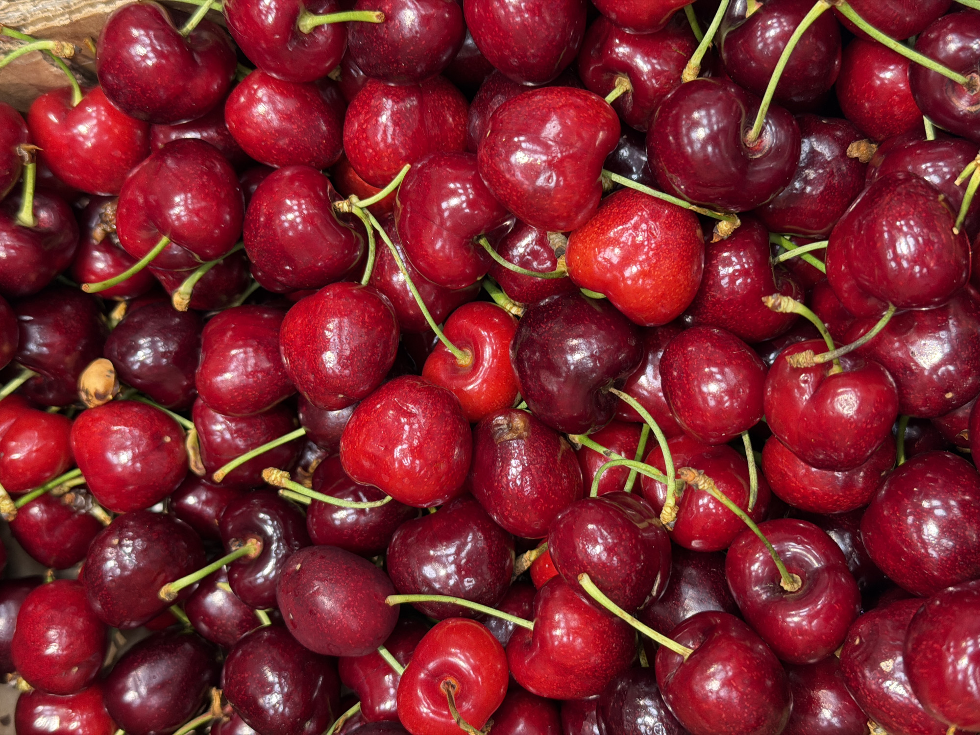 The image shows a close-up of a pile of fresh, dark red cherries with green stems. The cherries vary slightly in color from bright red to deep burgundy, and some have a shiny surface. The cherries fill the frame, creating a dense and textured composition. There is no indication of the location being Piraeus, Greece, in the image. No people, actions, or interactions are visible. The image solely focuses on the cherries themselves.