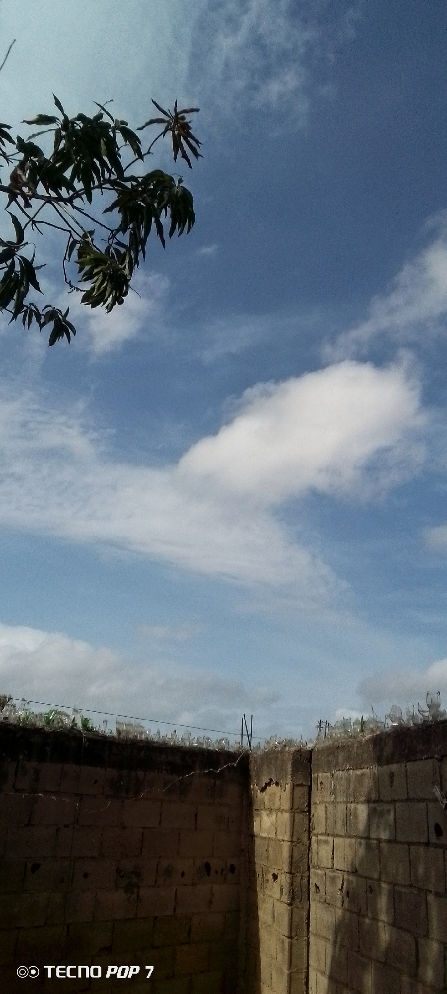 The image shows a section of a brick wall topped with shards of broken glass. In the background is a blue sky with scattered clouds. A tree branch with green leaves is visible in the upper left corner of the frame. A "TECNOP POP 7" watermark is at the bottom left. The photograph was taken in Altagracia, Venezuela.