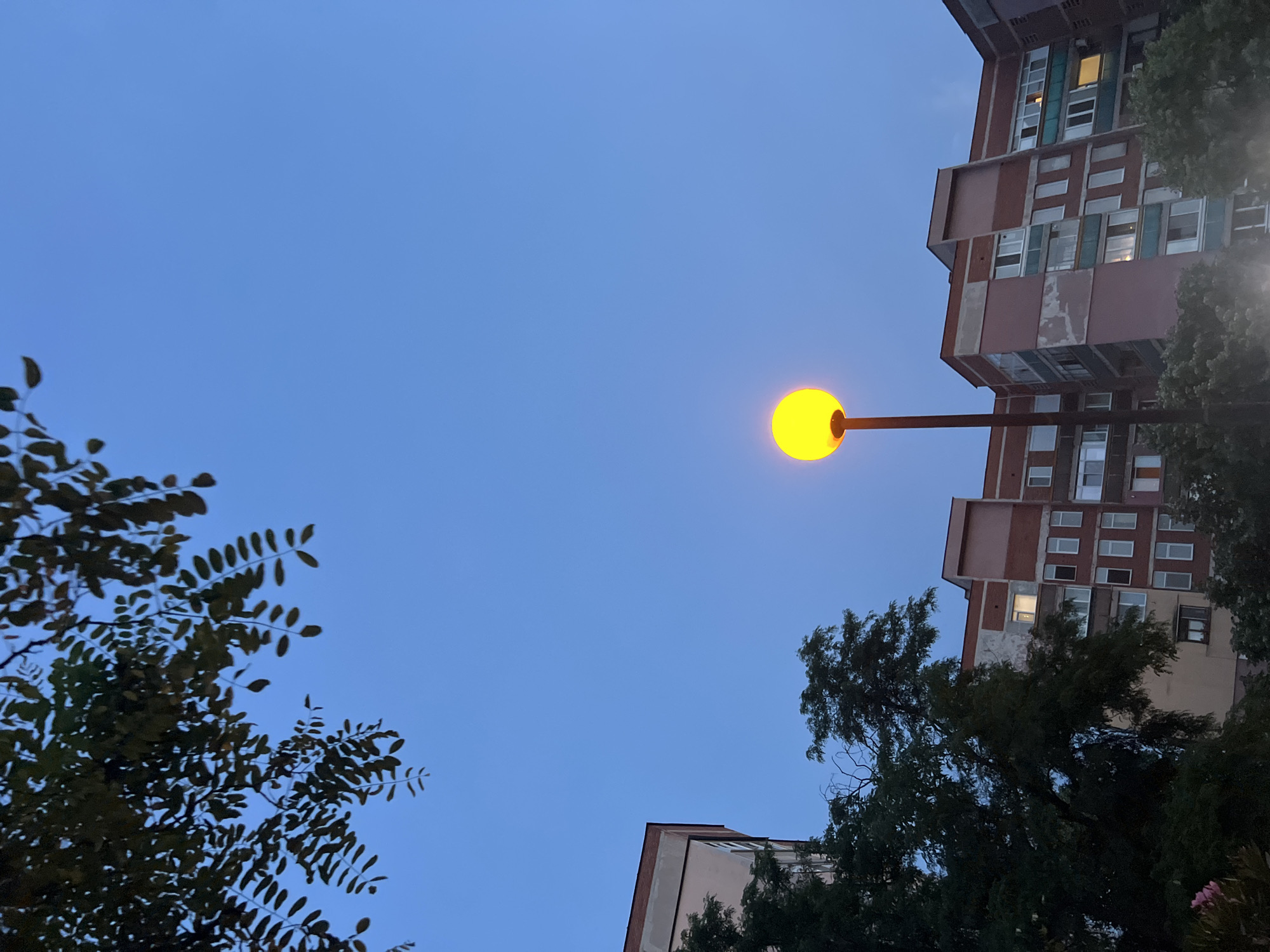A street lamp with a glowing yellow orb illuminates a clear, twilight blue sky. The lamp stands tall in the foreground, its pole dark and slender. To the left, the leafy branches of a tree with small, elongated leaves hang down from the upper left corner of the frame, silhouetted against the sky. In the mid-ground, a multi-story apartment building with a reddish-brown facade and numerous windows is visible. Some windows have lights on, indicating occupancy. Lush green trees partially obscure the lower section of the building. The overall scene suggests an evening in a residential area, possibly in the city of Plovdiv, Bulgaria, given the architectural style of the building.
