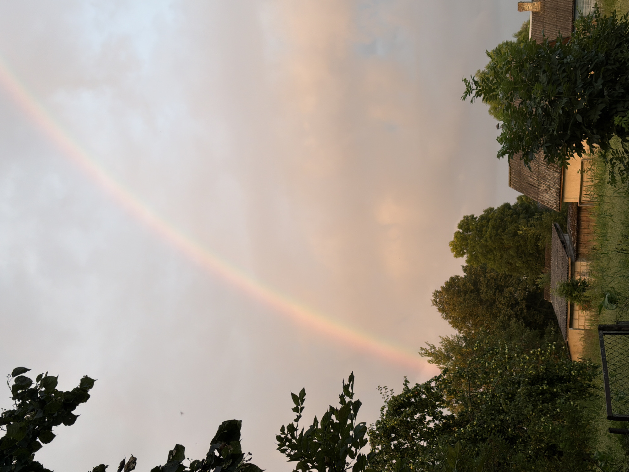 In a rural setting, a rainbow arcs across a cloudy sky. The sky is a soft grey with hints of pink and orange, suggesting either sunrise or sunset. The foreground is dominated by lush green foliage, including a tree with small green fruits on its branches, and an apple tree. In the middle ground, there are several low-lying buildings with grey, corrugated roofs. The buildings appear to be of simple construction, with yellow or light-colored walls. A metal fence is visible in the bottom left corner of the image. The overall impression is one of a tranquil, natural landscape.