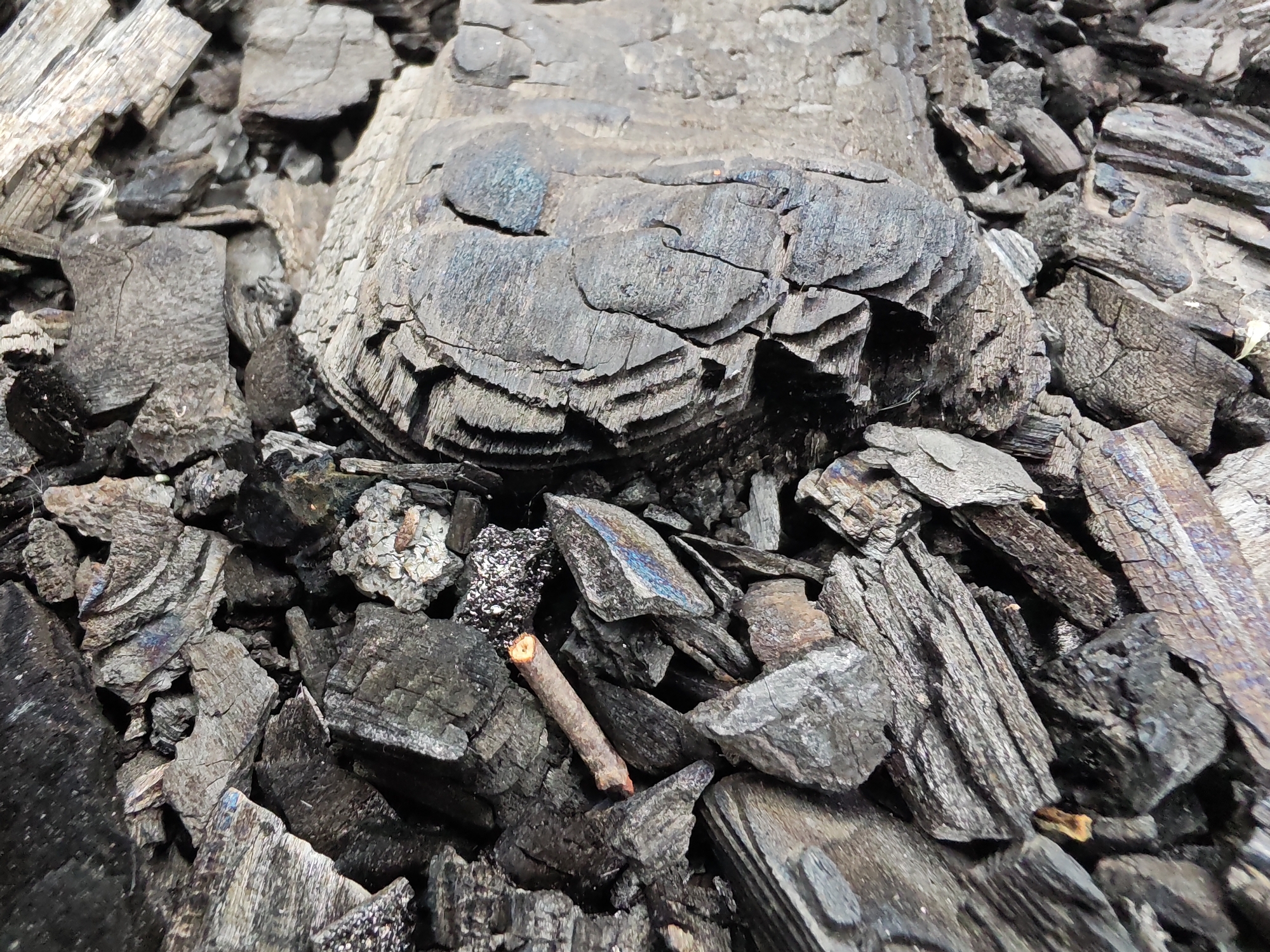 The image displays a close-up view of a pile of charred wood and ash. The texture is rough and uneven, with fragments of wood showing distinct grain patterns and cracks. Some pieces are large and irregular, while others are smaller and more splintered. The color palette is dominated by shades of dark gray, black, and brown, with occasional hints of iridescent blue or purple on some of the charred surfaces. A small, light-colored twig lies horizontally among the debris in the lower center of the frame. The scene appears to be outdoors, with the natural texture and lighting suggesting an unmanicured environment. There is no indication of human presence, specific location within Чонкаўскі сельскі Савет, Belarus, or any ongoing action. The image focuses entirely on the material nature of the burned wood.