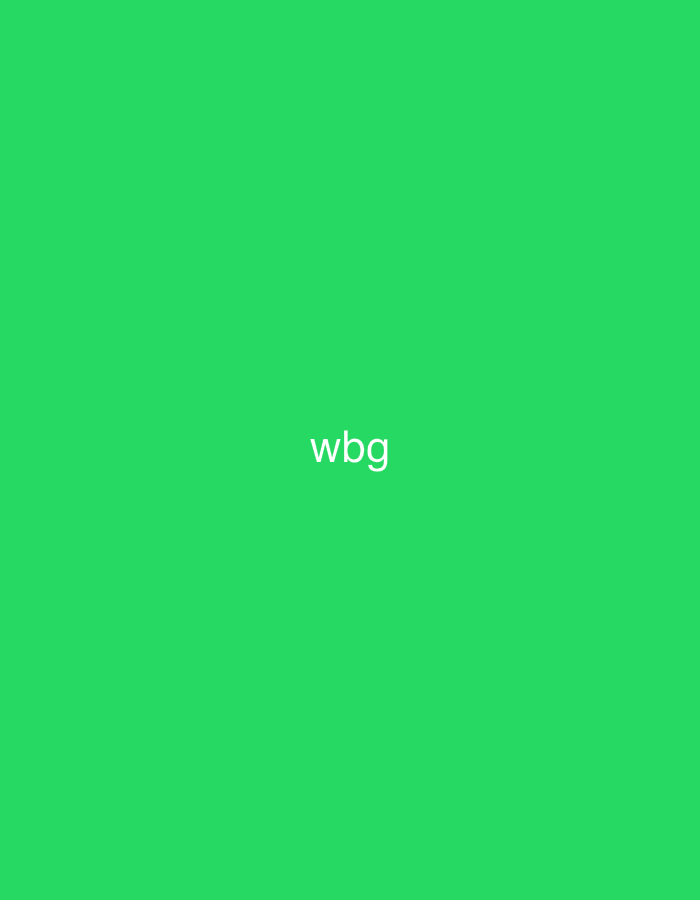 The image is a plain green background with the text "wbg" centered in white. There are no discernible locations in the city of Casablanca, Morocco, or any people, subjects, objects, actions, or interactions depicted.