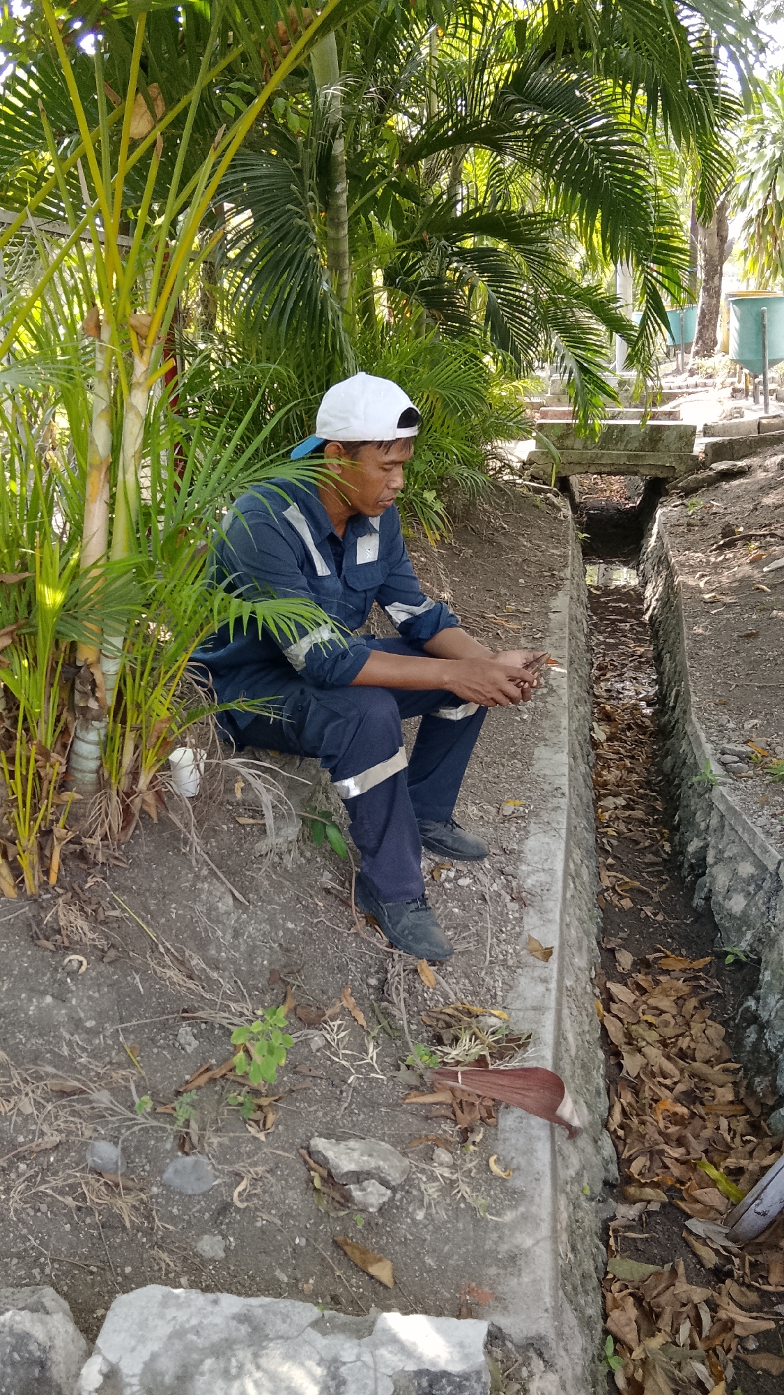 A man wearing a blue work uniform and a white baseball cap sits on the edge of a concrete drainage channel in Tlogobendung, Indonesia. He is holding what appear to be dry leaves or twigs in his hands and is looking down at them. The man is seated on a dirt embankment covered with some dry vegetation. The drainage channel is filled with fallen leaves and some murky water. Behind the man, palm trees and other tropical foliage are visible. The scene appears to be outdoors, in a park-like or undeveloped area.