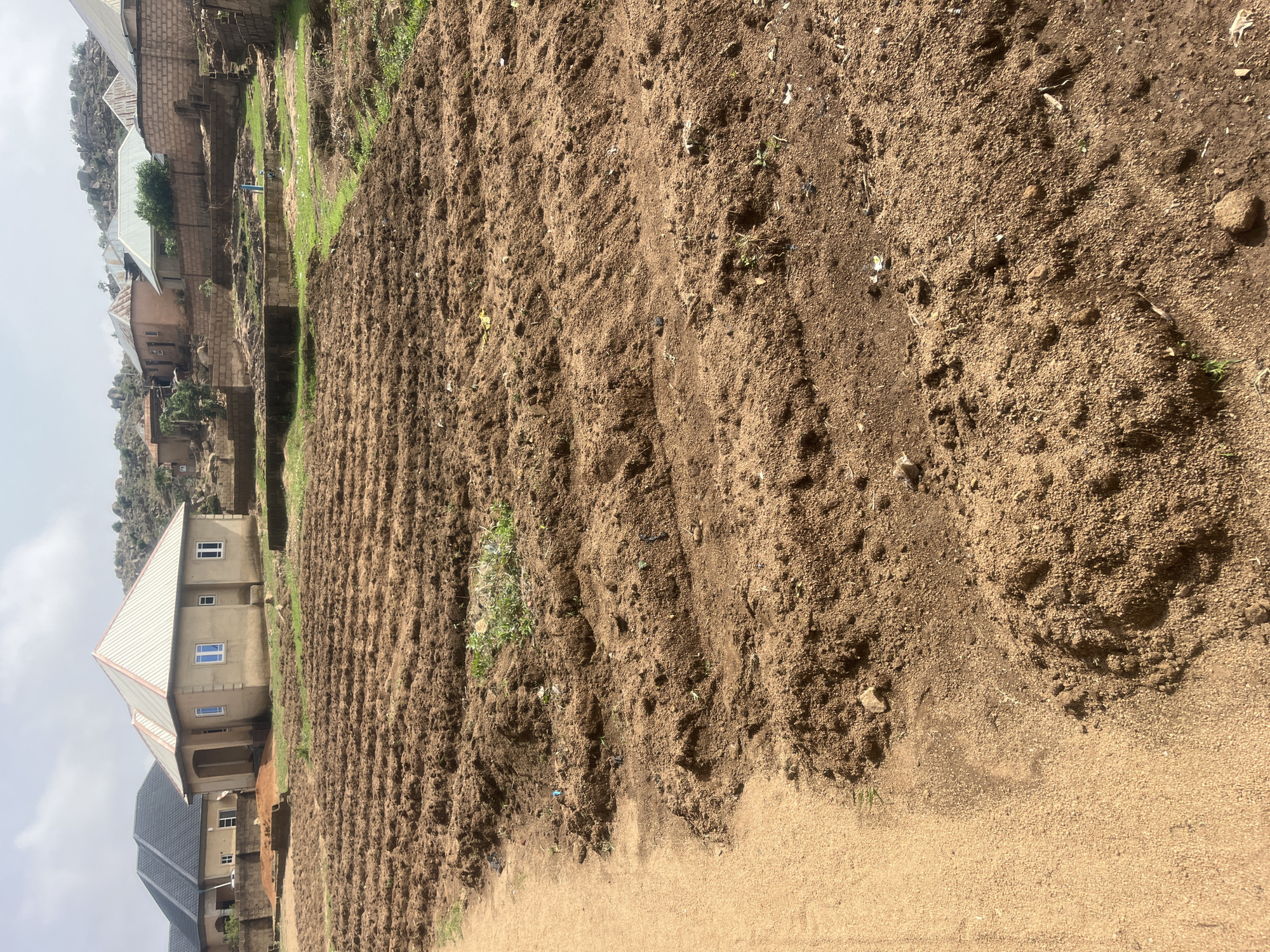 The image depicts a cultivated field with rows of tilled soil located in a residential area near Jos, Nigeria. Several buildings, including houses with distinctive roof designs, are visible in the background. The foreground features a sandy path adjacent to the field. Small patches of green vegetation are scattered throughout the field. The overall scene suggests an agricultural activity in a populated region of Jos.