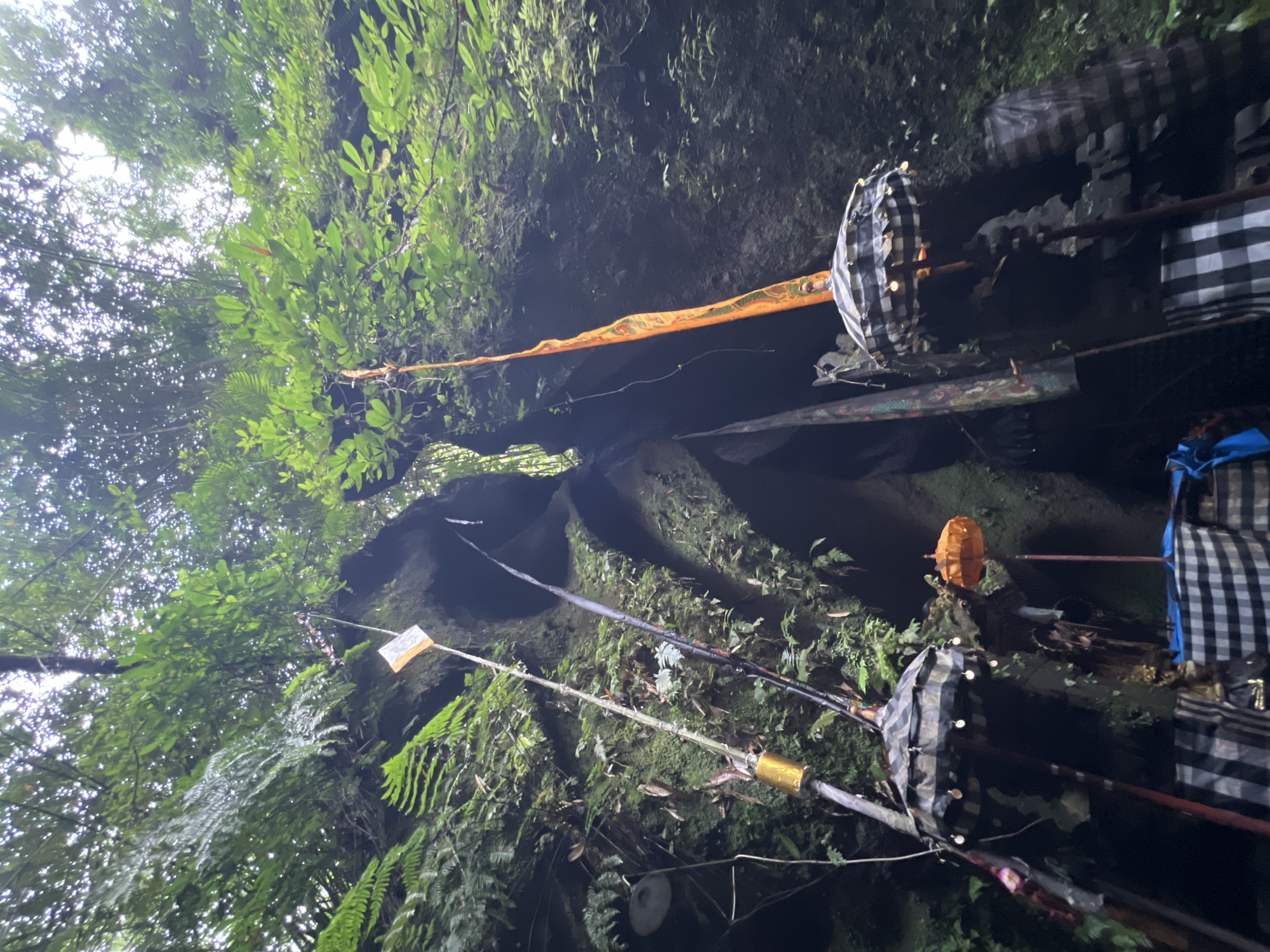 The image is taken from a low angle, looking up at a rocky cliff face covered in vegetation, likely ferns and other plants. The sky is visible through a gap in the vegetation at the top of the frame. Several poles are visible across the cliff face, adorned with checkered fabric and small yellow flags. An orange ribbon also stretches across the cliff. The location is Tembuku, Indonesia.
