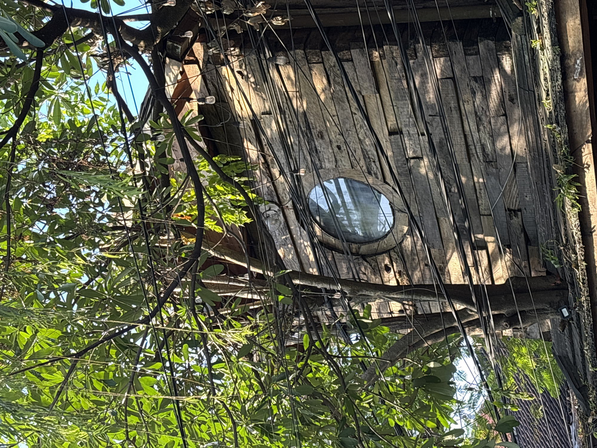 A low-angle shot depicts a wooden structure with a circular window, possibly a treehouse, nestled amidst dense foliage and hanging wires, appearing to be in a natural environment. The structure is constructed from weathered wooden planks, arranged vertically. The circular window reflects the surrounding greenery. The background features the sky peeking through the branches. The location is inferred as Mengwi, Indonesia, based on the presence of lush vegetation typical of the region.