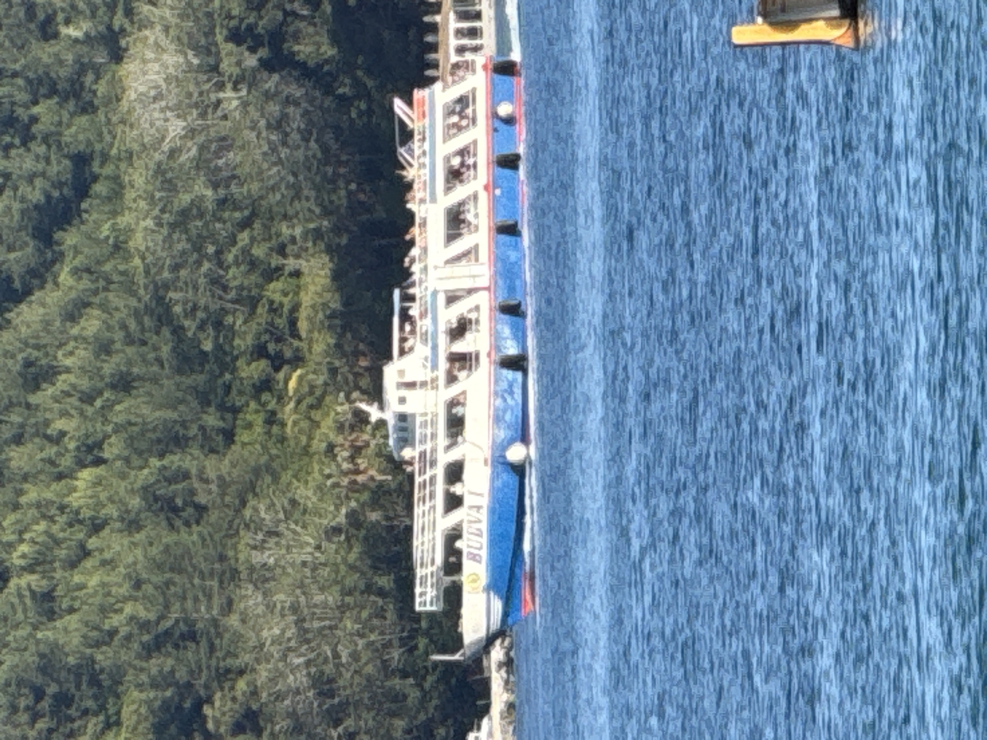 The image displays the passenger boat "BUDVA I" in motion on a body of blue water, moving from left to right. The vessel features a white upper structure, a blue hull with a white stripe, and a red waterline accent. Multiple passengers are visible through the windows of the enclosed lower deck and on the open upper deck. A dense green forested hillside occupies the background. The water surface exhibits small ripples. In the lower right foreground, a yellow and grey post, likely a navigational marker, is partially visible. The boat's name, "BUDVA I," indicates its operation in the city of Budva, Montenegro.