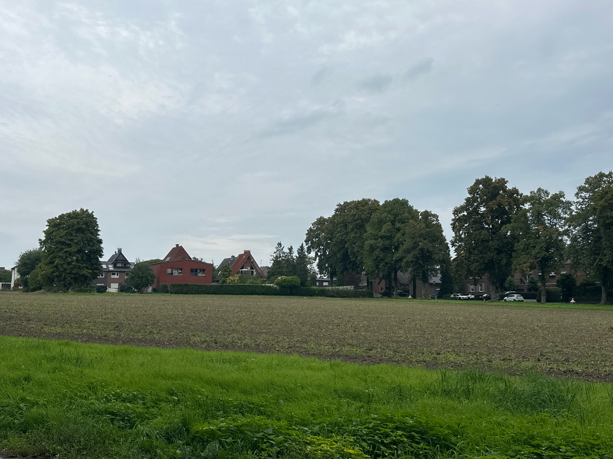 The image depicts an agricultural field in Dülmen, Germany, on an overcast day. The foreground features a strip of vibrant green grass, transitioning into a large, plowed field. In the background, a line of trees separates the field from a residential area. Several houses with red-tiled roofs are visible, along with a row of cars parked along the street. The sky is uniformly gray with scattered clouds.
