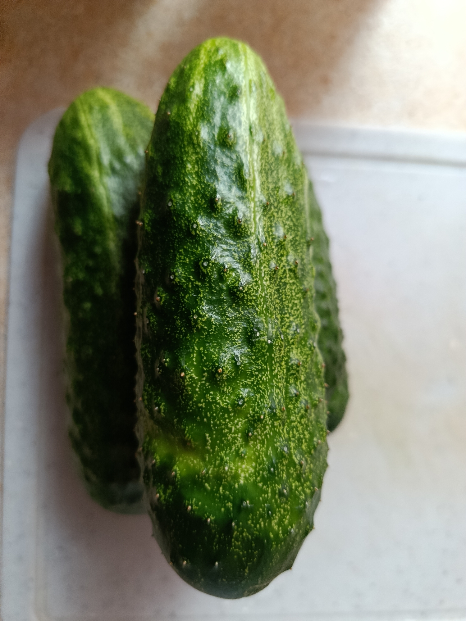 A close-up, overhead shot displays three bumpy, dark green cucumbers on a light-colored cutting board. The cucumbers are arranged diagonally, with the largest and most in focus one positioned in the foreground. Its skin is textured with numerous small, light-colored bumps and a few visible water droplets. To the left and slightly behind, two other cucumbers are partially visible, one more clearly than the other. The background is blurred, with a light brown and tan surface above the cutting board. There are no people or animals in the image, and no discernable landmarks to indicate a specific location in Marx, Russia.