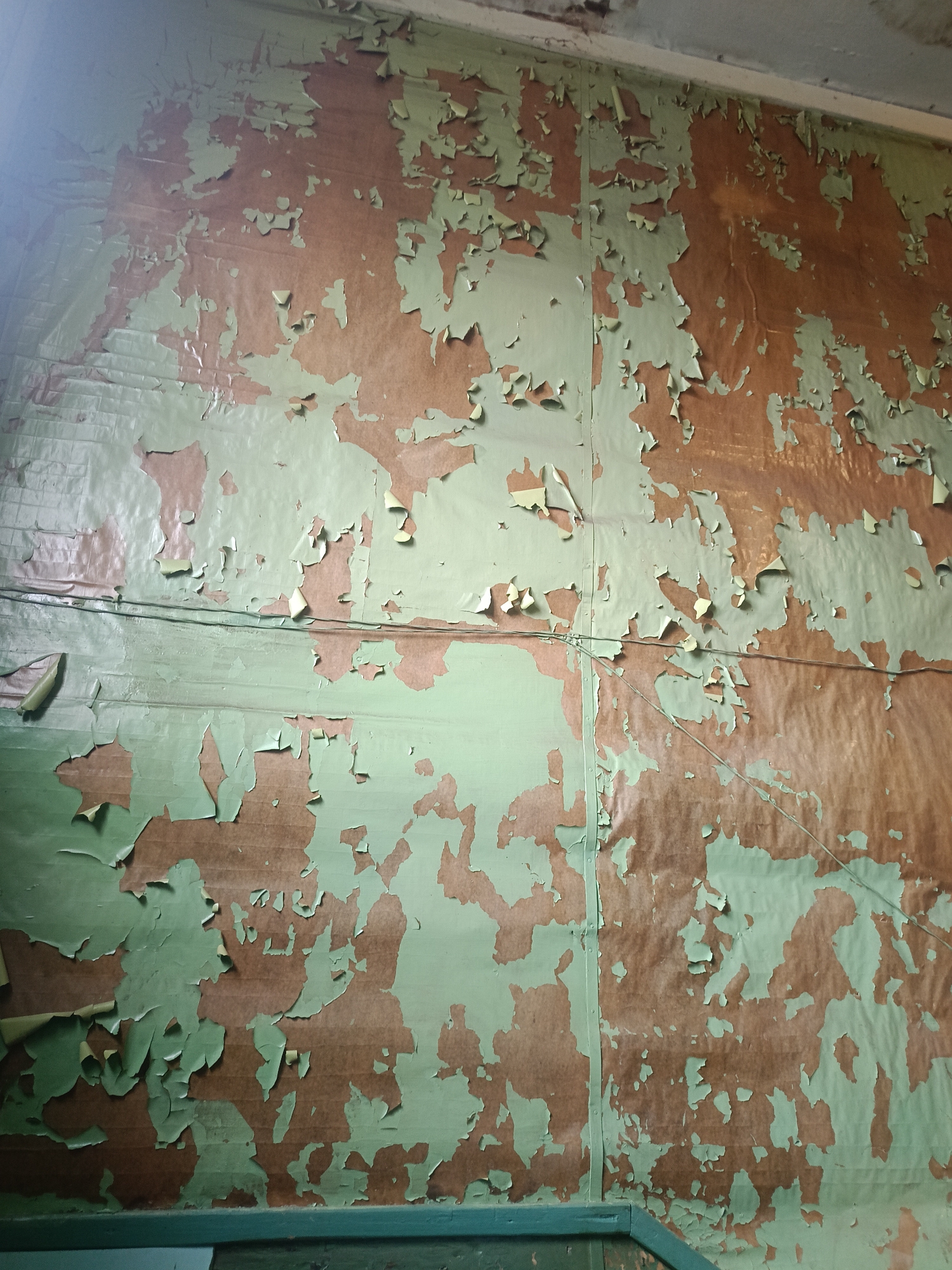 The image shows a close-up of a wall in Arkhangelsk, Russia, where the green paint is peeling off, revealing a brown surface underneath. The peeling paint creates irregular shapes and textures across the wall. Two thin wires are visible running horizontally across the wall, and a vertical seam is also present, suggesting the wall is constructed from panels. The environment appears to be indoors, possibly an old building, with a slightly dusty or aged appearance. The lighting suggests it might be daytime, but the specific location within the city is not discernible from the image itself.