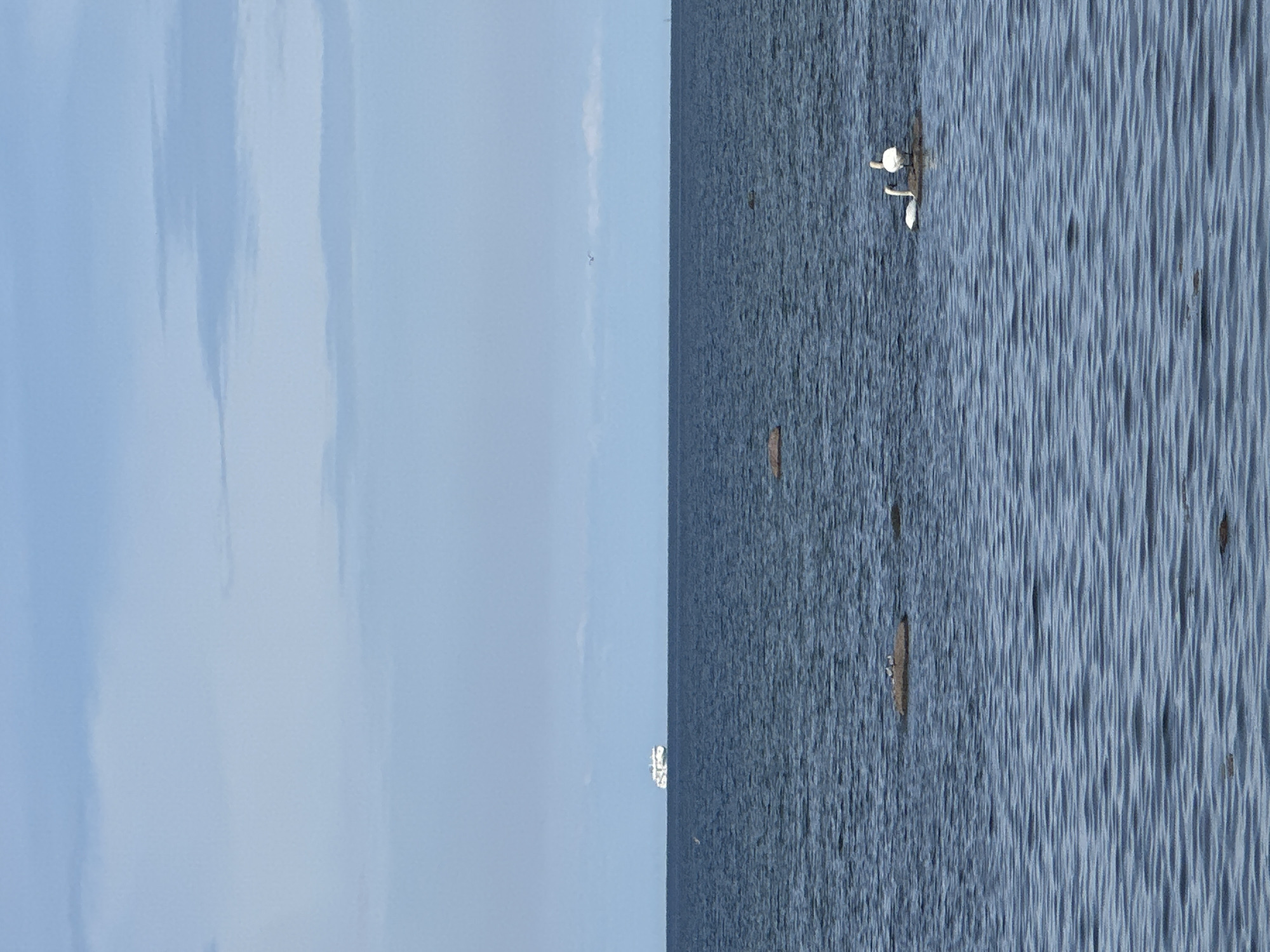 A wide-angle, eye-level shot captures a calm, blue sea stretching towards a hazy horizon. In the distance, a white ferry boat is visible. Closer to the foreground, two white swans are perched on a small rock in the water. The sky is a pale blue with scattered, wispy clouds. The image depicts a serene coastal scene.