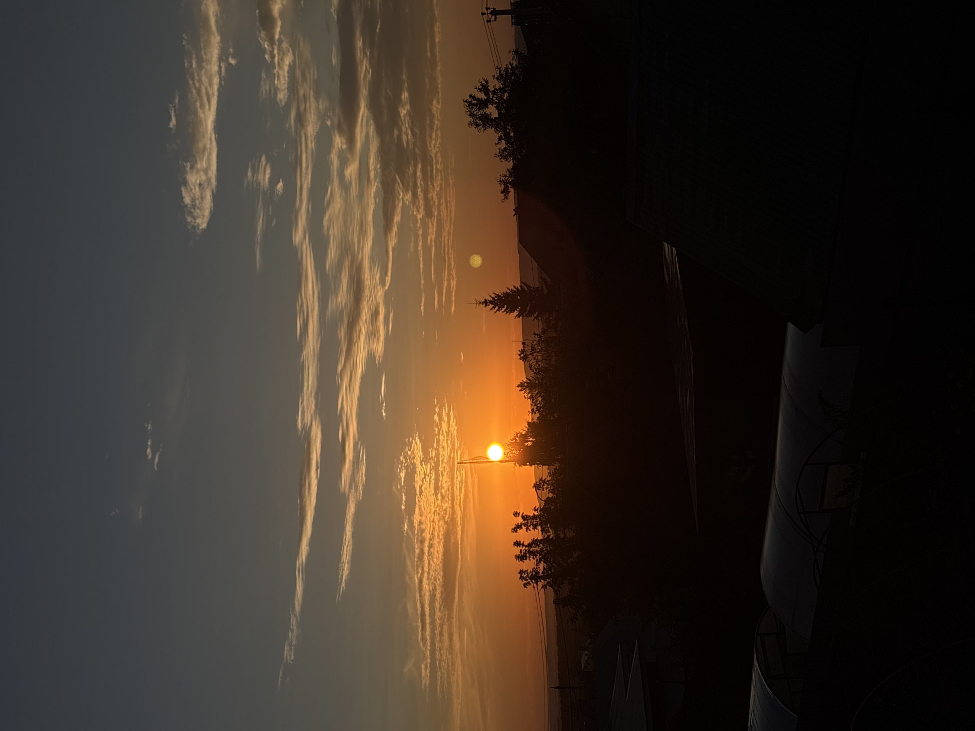 This image depicts a sunset over a silhouetted landscape, likely in Oktyabrsky, Russia. The sun, a bright orange orb, is partially obscured by trees and a vertical pole, casting a warm glow across the sky. Wispy clouds, tinged with orange and yellow from the setting sun, stretch across the horizon. In the foreground, dark silhouettes of trees and rooftops dominate the lower half of the frame. Two greenhouse-like structures with curved roofs are visible in the bottom left corner, also in silhouette. The overall impression is one of a tranquil evening in a rural or suburban setting, with the vibrant colors of the sunset creating a striking contrast against the dark foreground. The presence of buildings, trees, and power lines suggests a residential or agricultural area.
