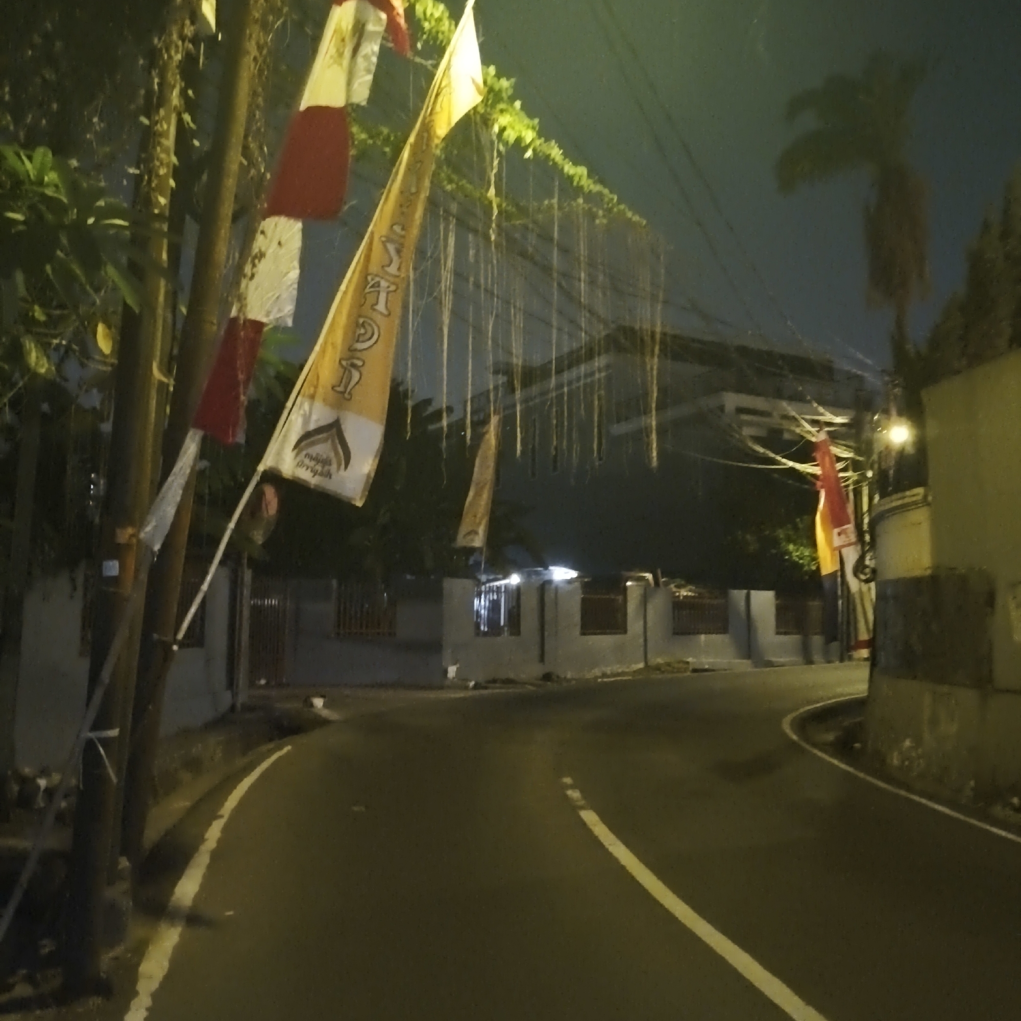 The image depicts a street scene at night in South Jakarta, Indonesia, likely in a residential or mixed-use area. A paved road curves through the scene, marked with a white line. Along the left side of the road, a utility pole stands with several Indonesian flags attached, some red and white, and at least one yellow flag with black text and an emblem. Hanging from overhead wires or structures are numerous long, thin vines. In the background, low-lying buildings with barred windows are visible, illuminated by ambient light. A palm tree is silhouetted against the dark sky on the right side of the image. The lighting suggests it is dark, with artificial lights casting a yellowish glow on the surroundings. The scene appears quiet, with no people or vehicles visible.