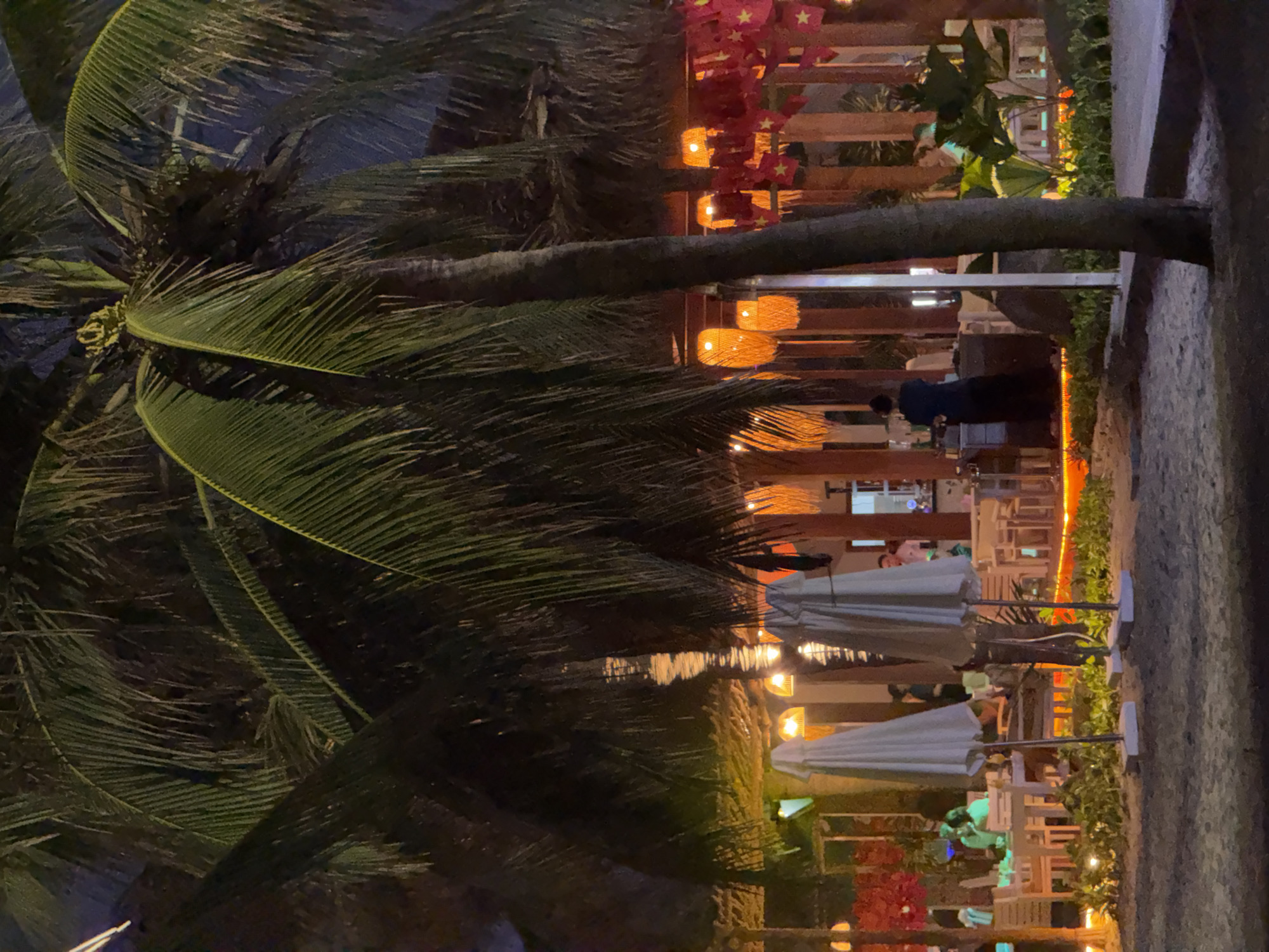 The image depicts a restaurant scene in Đà Nẵng, Vietnam at night. Palm trees are prominent in the foreground. The restaurant features outdoor seating with tables and chairs under umbrellas. Lights illuminate the area, including hanging lanterns and decorative red flags. People can be seen at the tables, and there are staff members present as well. The scene is vibrant, with a mix of natural elements and the artificial lighting of the restaurant.