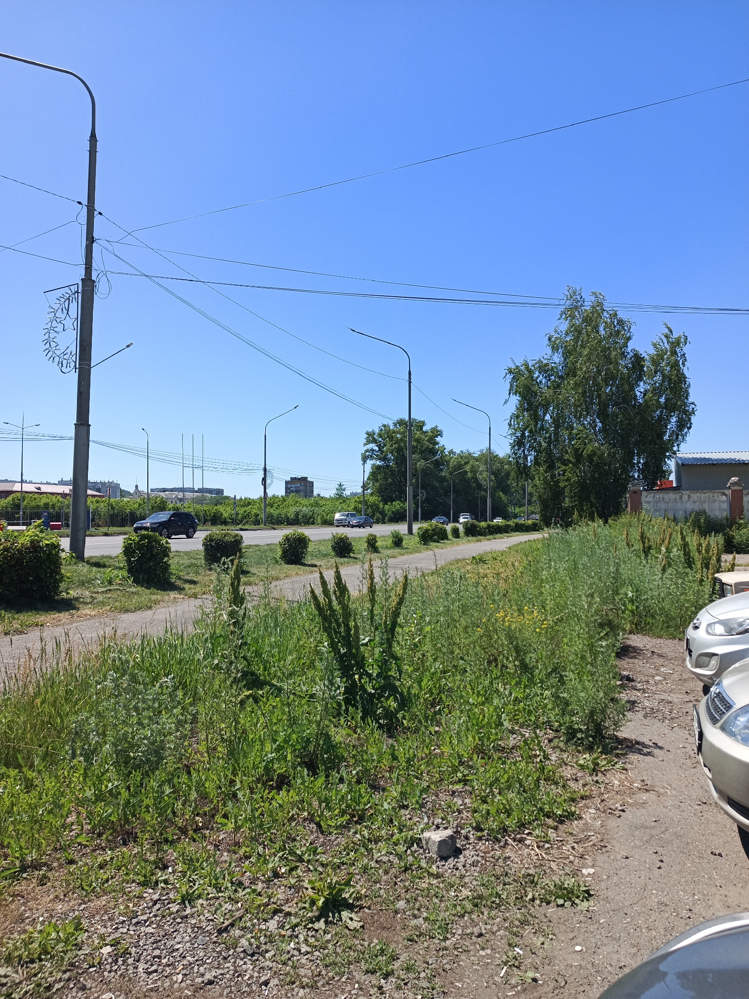 An outdoor, eye-level, wide shot captures a sunny day in an urban environment, likely near a roadside. The foreground is dominated by a patch of rough, gravelly ground covered in various green weeds and grasses, with a light-colored, rectangular piece of concrete debris in the center. To the right, the edge of a silver car is visible, parked alongside a rough asphalt surface.
Moving further into the scene, a paved sidewalk or path runs diagonally across the mid-ground from the left foreground towards the center. Beyond the path, a multi-lane road curves gently to the right. Several vehicles are driving on the road, including a dark SUV in the left mid-ground, a white van to its right, and a dark sedan further down the road. The road is lined by lush green bushes and trees.
In the background, buildings of various sizes and architectural styles are visible, including a long, red-tiled roof building on the left and a taller, darker building on the right. A dense line of trees stretches across the mid-ground and background, creating a green barrier along the roadside. Overhead, a clear blue sky is crisscrossed with numerous power lines and streetlights, with one prominent lamppost on the far left, adorned with decorative string lights. The overall impression is a typical urban roadside scene on a bright, clear day.