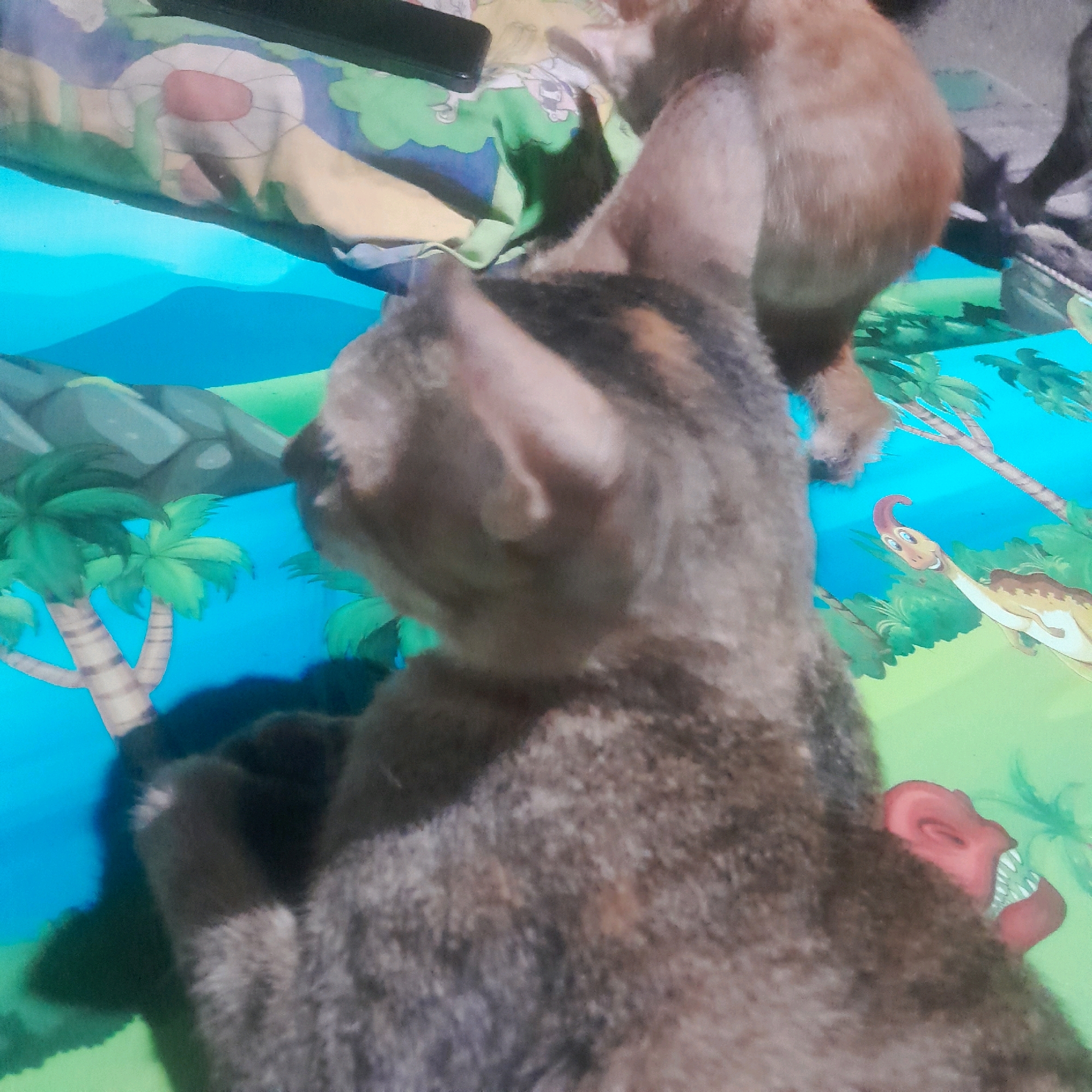 Two cats are visible in the foreground, with a third cat partially visible behind them. They are resting on a colorful blanket or mat featuring cartoon dinosaurs and a prehistoric landscape. The blanket has a blue background with images of palm trees, rocks, and cartoon dinosaurs. One cat in the foreground is brown and gray tabby, facing away from the camera. Its ears are perked up, and its fur is textured. Another cat, partially visible behind the tabby, is light brown. A darker, blackish-brown cat is visible in the upper right corner, its fur appearing somewhat shaggier. The lighting suggests an indoor setting.