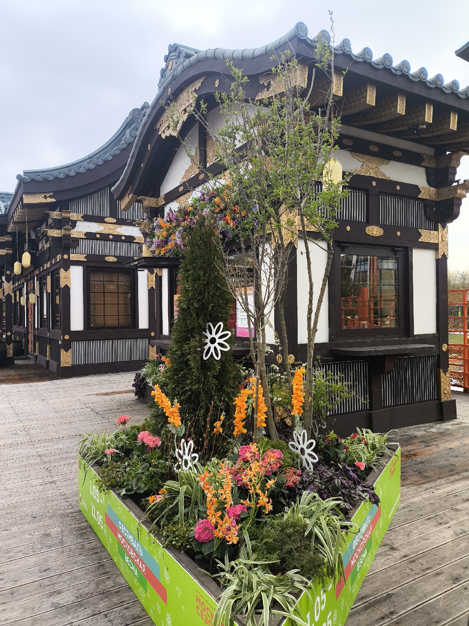 The image captures an outdoor scene featuring a building constructed in a traditional Japanese architectural style, set upon a wooden deck. The structure is characterized by its dark brown timber framework, contrasting white wall panels, and intricate golden decorative elements adorning the eaves and beams. It boasts a distinctively curved, dark tiled roof. Various windows are visible along its facade; one on the right reflects an orange structure in the distance, while others have internal blinds. On the left side of the building, several hanging lanterns are present.
In the foreground, a prominent, triangular-shaped planter box is filled with a diverse array of plants and colorful flowers. Bright orange and pink blooms, purple foliage, evergreen shrubs, and slender tree saplings contribute to a lush display. White, stylized flower-shaped cutouts are interspersed among the greenery as decorative accents.
The ground consists of a wooden deck made of greyish-brown planks. The sky is overcast, indicating a daytime setting. No people are visible in the scene.
Prominently displayed on the green side of the planter box is white text in Cyrillic, which reads "ФЕСТИВАЛЬ" (Festival) and "МОСКОВСКАЯ ВЕСНА" (Moscow Spring), accompanied by the dates "1.05 - 11.05". This identifies the setting as part of the Moscow Spring Festival, an event taking place between May 1st and May 11th in Moscow, Russia. The overall impression is one of a festive, culturally themed outdoor exhibition.