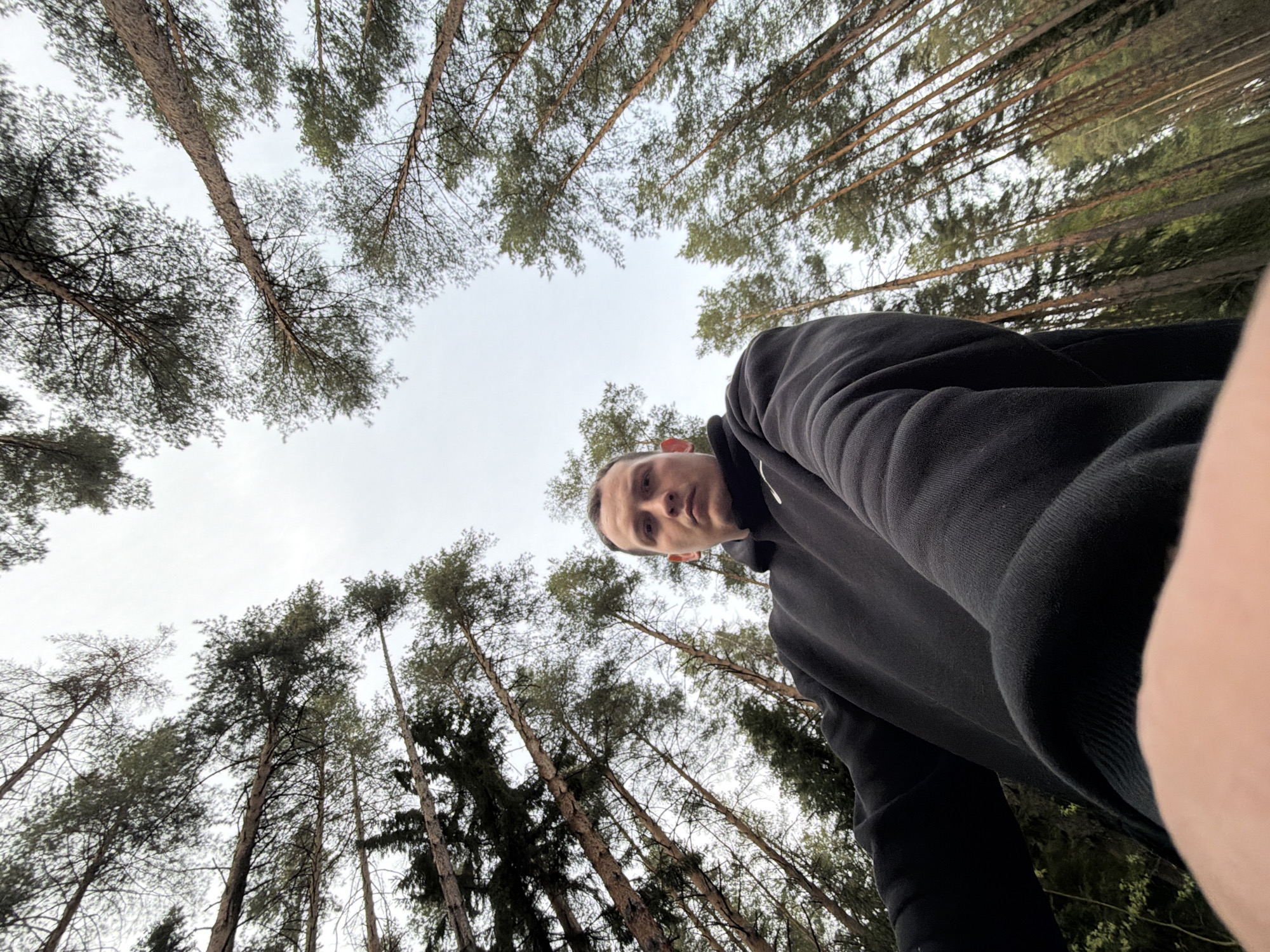 The photograph appears to be taken from a low angle, looking upwards towards a man wearing a black hoodie and surrounded by tall trees. The man's face is visible, and the perspective suggests he is holding the camera himself. The trees are dense, creating a canopy overhead. The sky is overcast. Based on the prompt, this image was taken in the city of Прикамский, Russia, but without more location cues no other specifics are apparent.