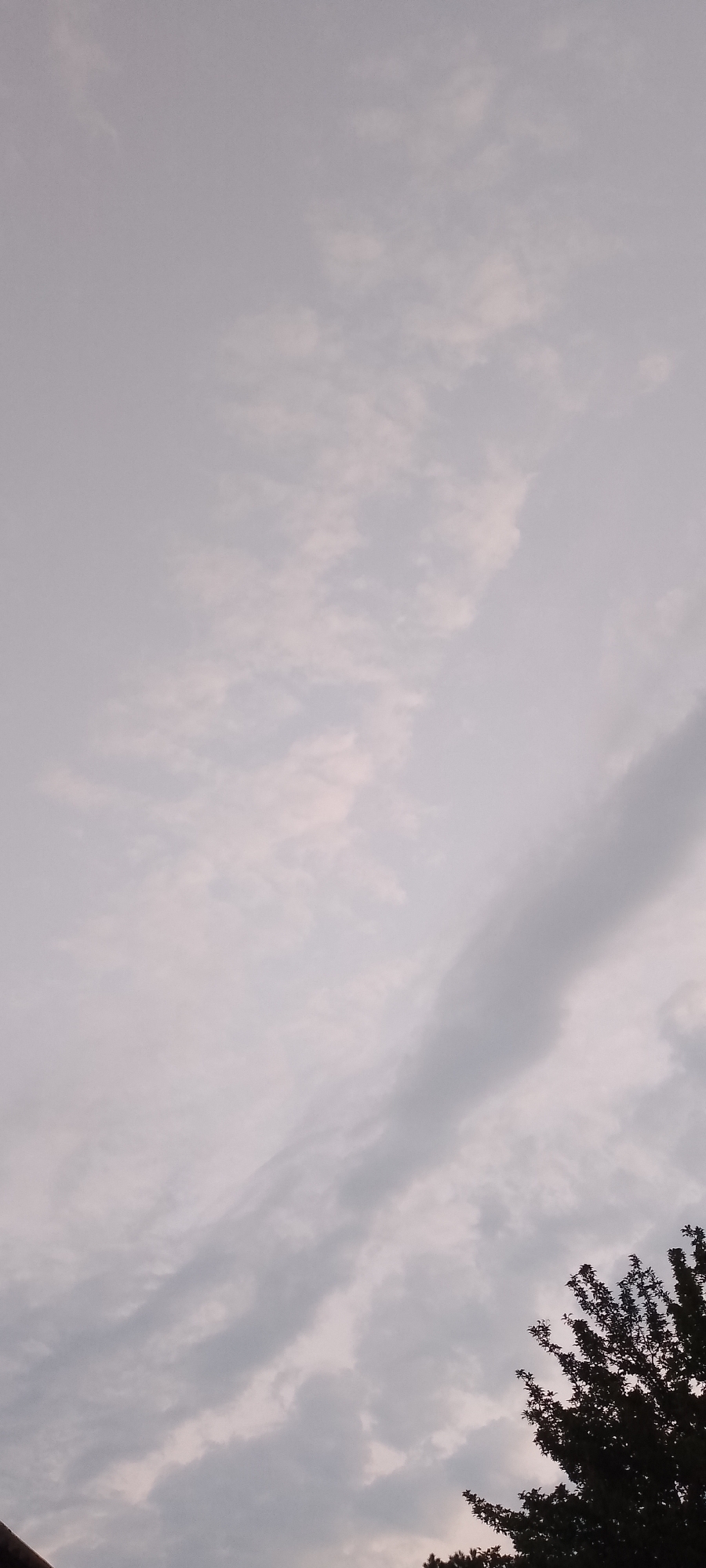 The image captures a portion of the sky over Belgorod, Russia. The sky is predominantly filled with a mix of light and darker gray clouds. The clouds appear wispy and scattered, with some areas showing a slightly pinkish hue, suggesting the time of day might be dawn or dusk. A thin, elongated dark cloud stretches diagonally across the frame from the lower right towards the upper left. In the bottom right corner of the image, the dark silhouette of tree branches and foliage is visible against the cloudy sky. The overall impression is that of an overcast or partially cloudy sky with muted colors.