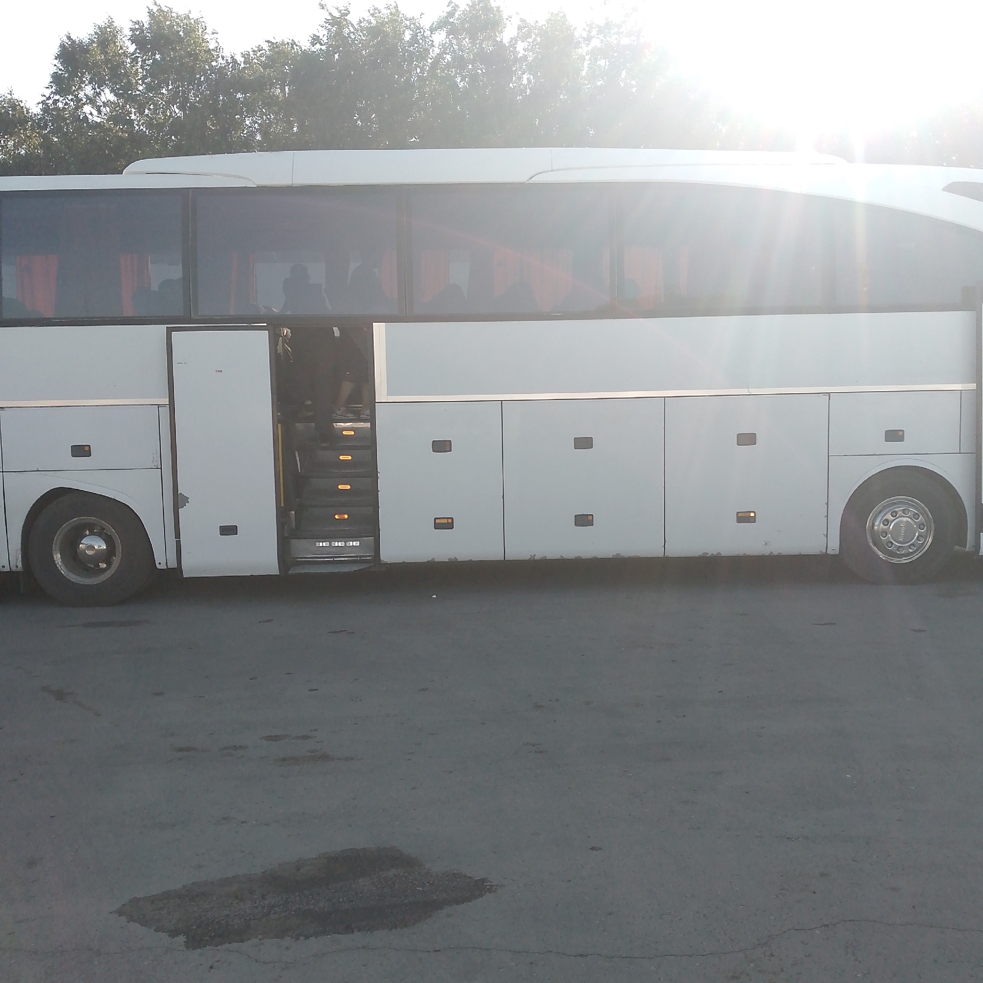 A white passenger bus is parked on an asphalt surface in Domodedovo, Russia. The bus is long and has tinted windows. A door on the side of the bus is open, revealing a set of illuminated stairs leading inside. Several panel doors are visible along the side of the bus. The ground in front of the bus has some dark, damp patches. Trees and bright sunlight are visible in the background.