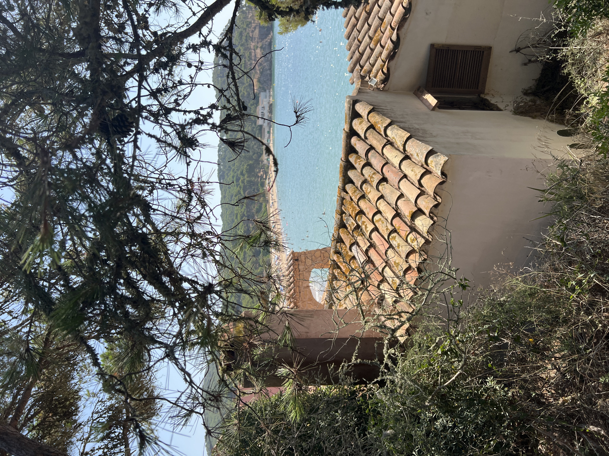 A scenic view of a coastal town in Palamós, Spain, is captured through the branches of a pine tree. The foreground is dominated by the textured, orange-tiled roof of a building, partially obscured by lush green foliage and dry brush. To the left, a tall, reddish-brown chimney stands out against the natural elements.
Beyond the building and foliage, a tranquil blue sea stretches out, dotted with a few swimmers enjoying the water. A sandy beach lines the shore, with a cluster of beach umbrellas indicating a lively atmosphere. In the background, rolling green hills covered with dense pine forests rise against a clear blue sky. The overall scene evokes a sense of peaceful, Mediterranean coastal living.