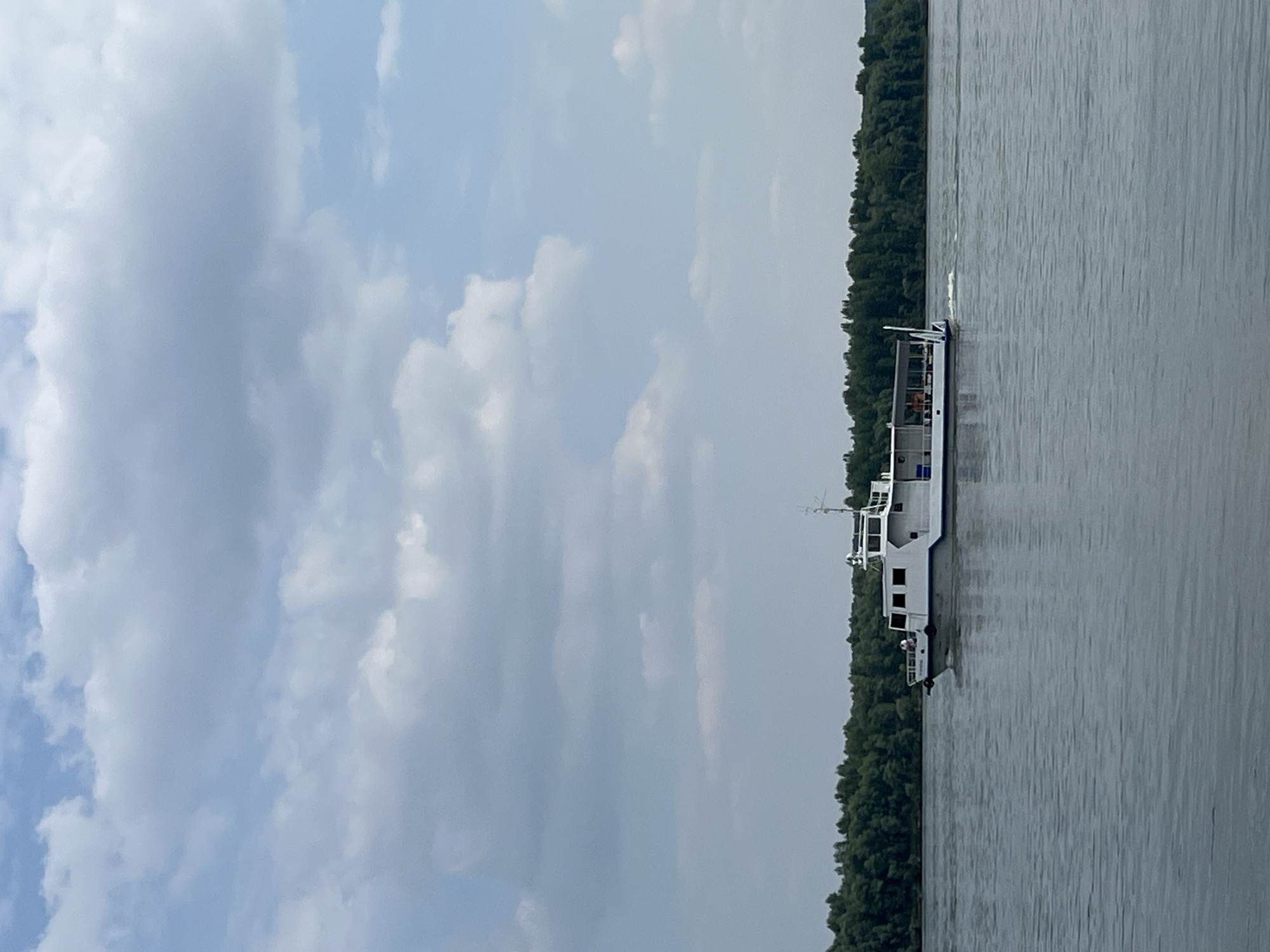 A white passenger boat with a dark roof traverses a wide, calm body of water. The boat has several windows and a railing along the side, with some people visible on board. In the distance, a dense line of dark green trees forms the shoreline. The sky above is a mix of light blue and white clouds. The scene is set in the city of Mochishche, Russia.